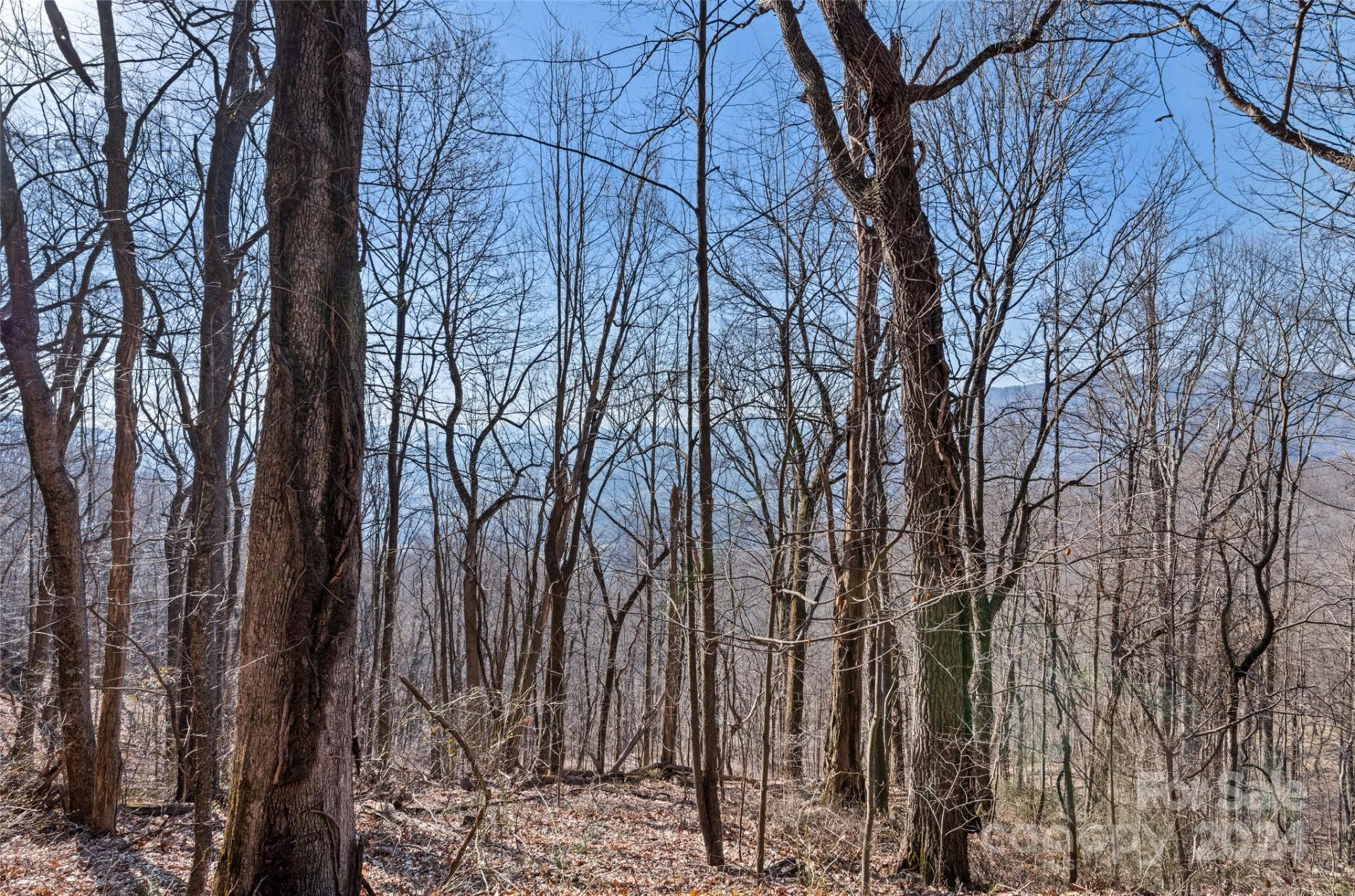 00 Purple Martin Lane - Photo 13