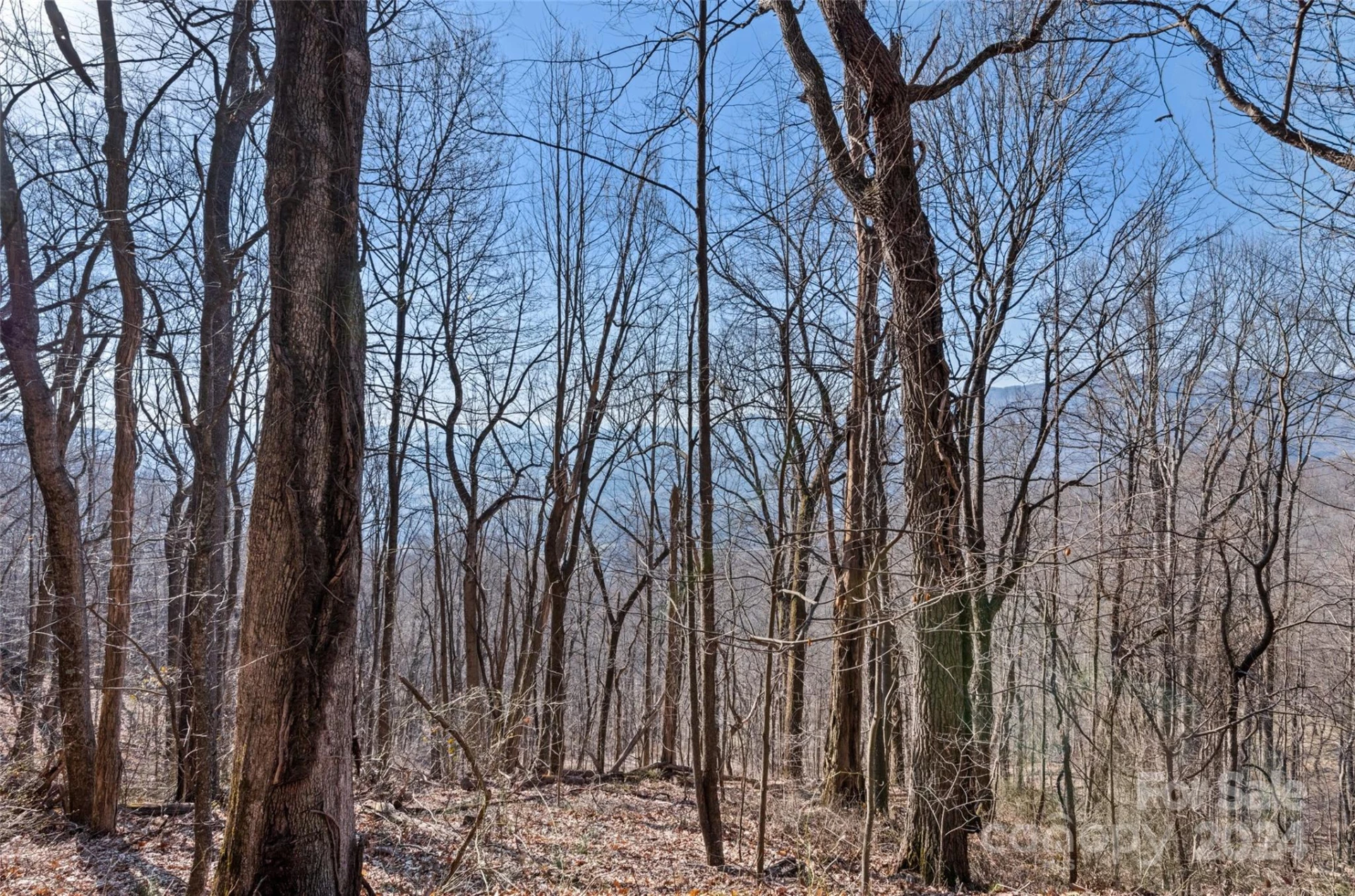 00 Purple Martin Lane - Photo 13
