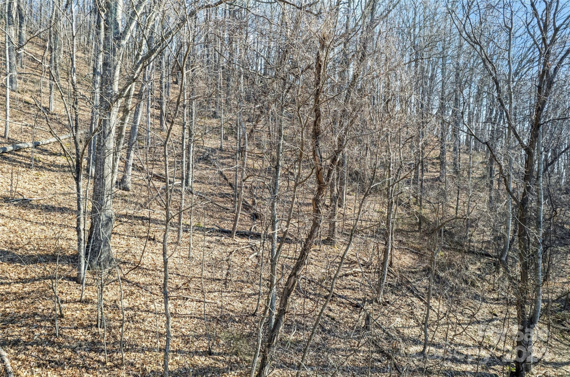 00 Purple Martin Lane - Photo 5