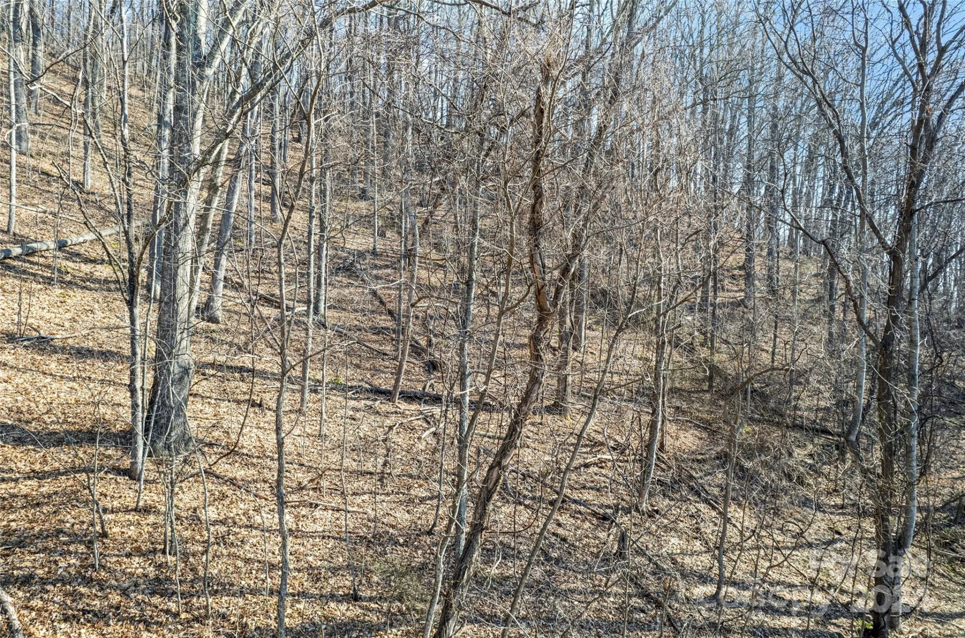 00 Purple Martin Lane - Photo 5