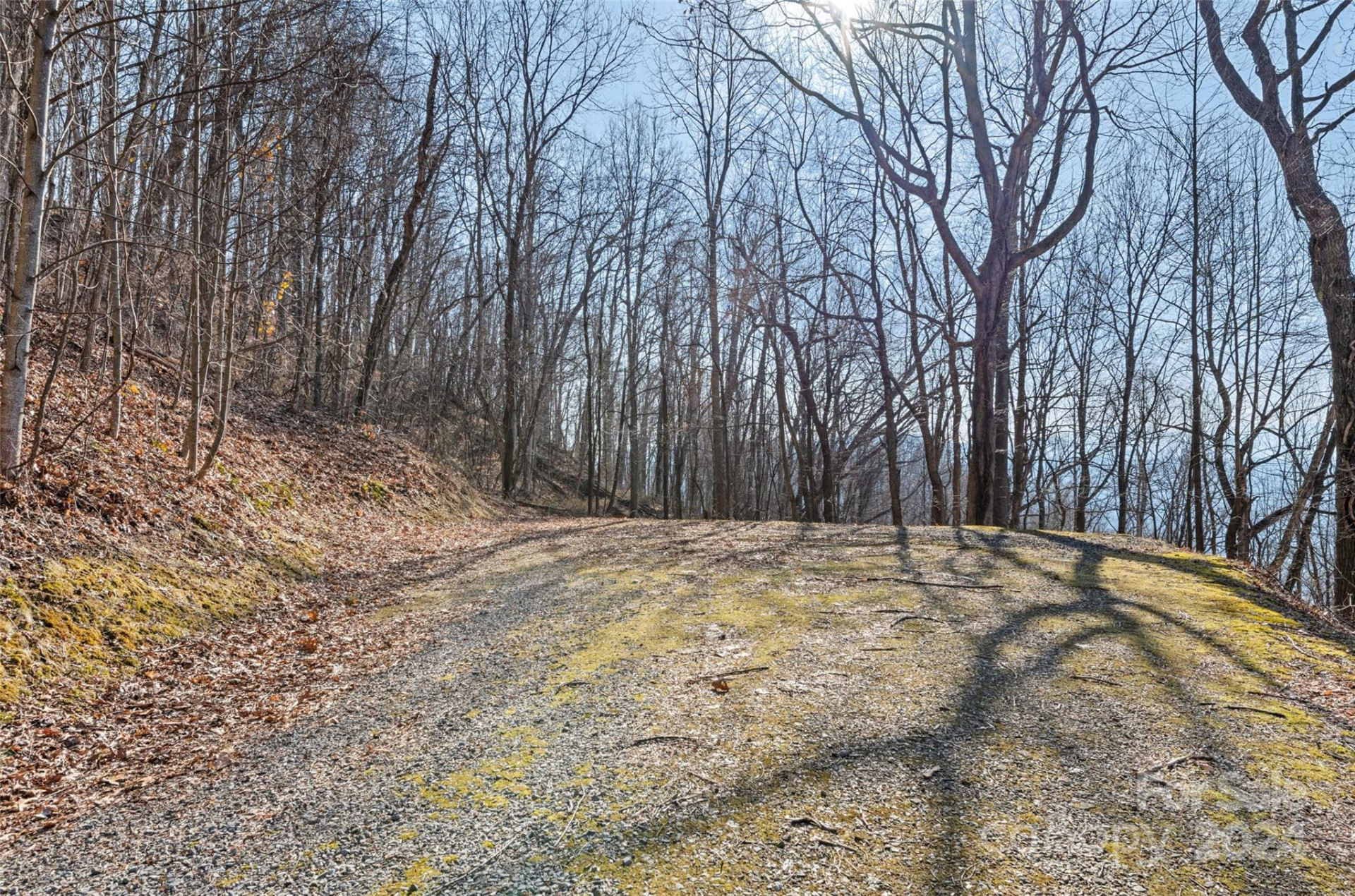 00 Purple Martin Lane - Photo 6