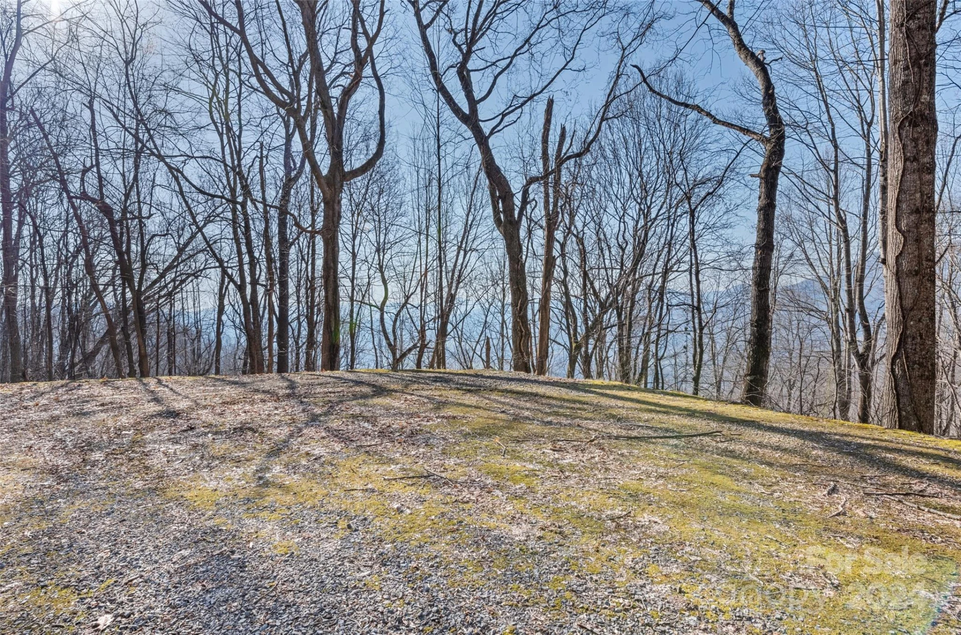 00 Purple Martin Lane - Photo 7