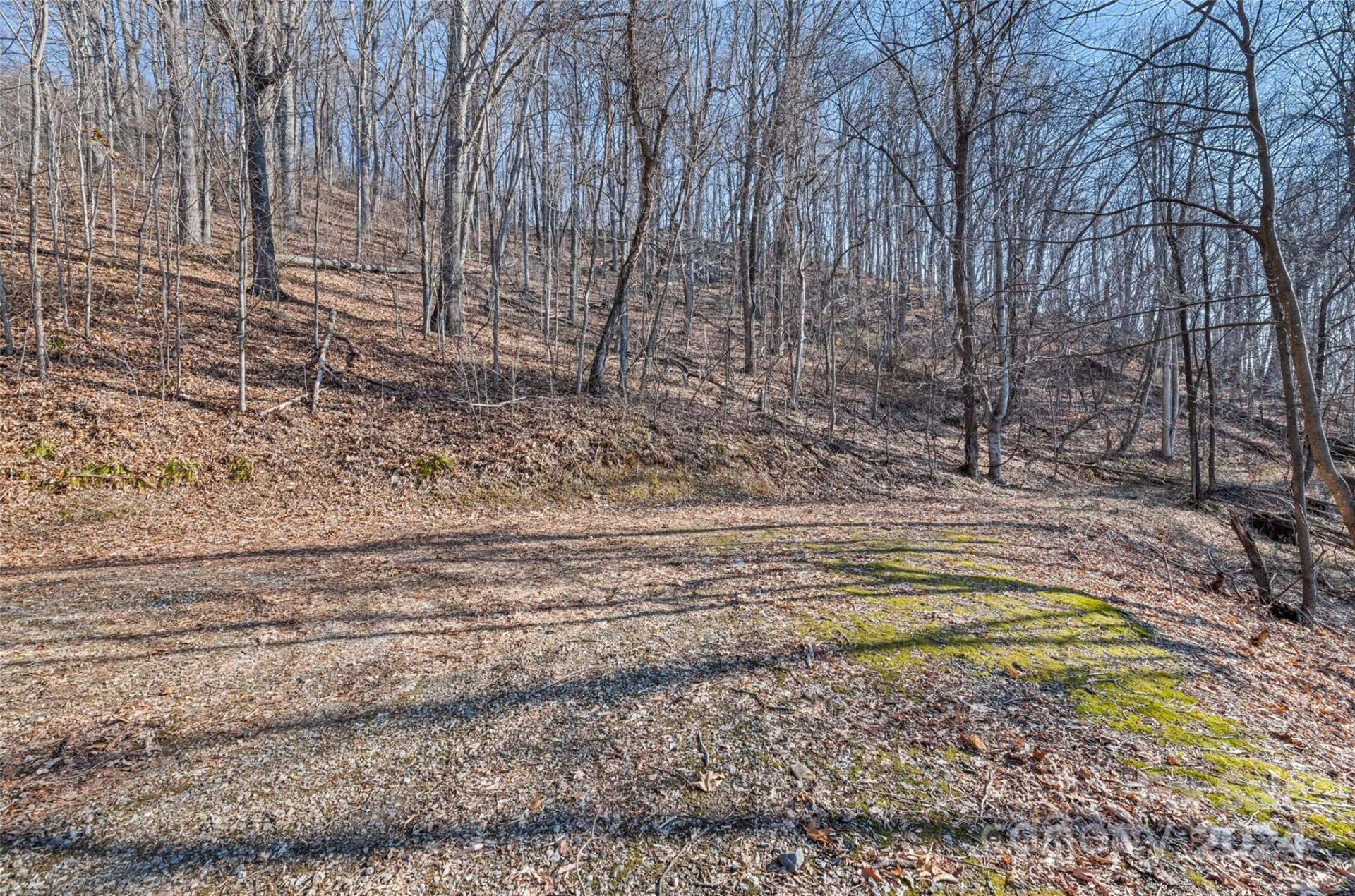 00 Purple Martin Lane - Photo 8