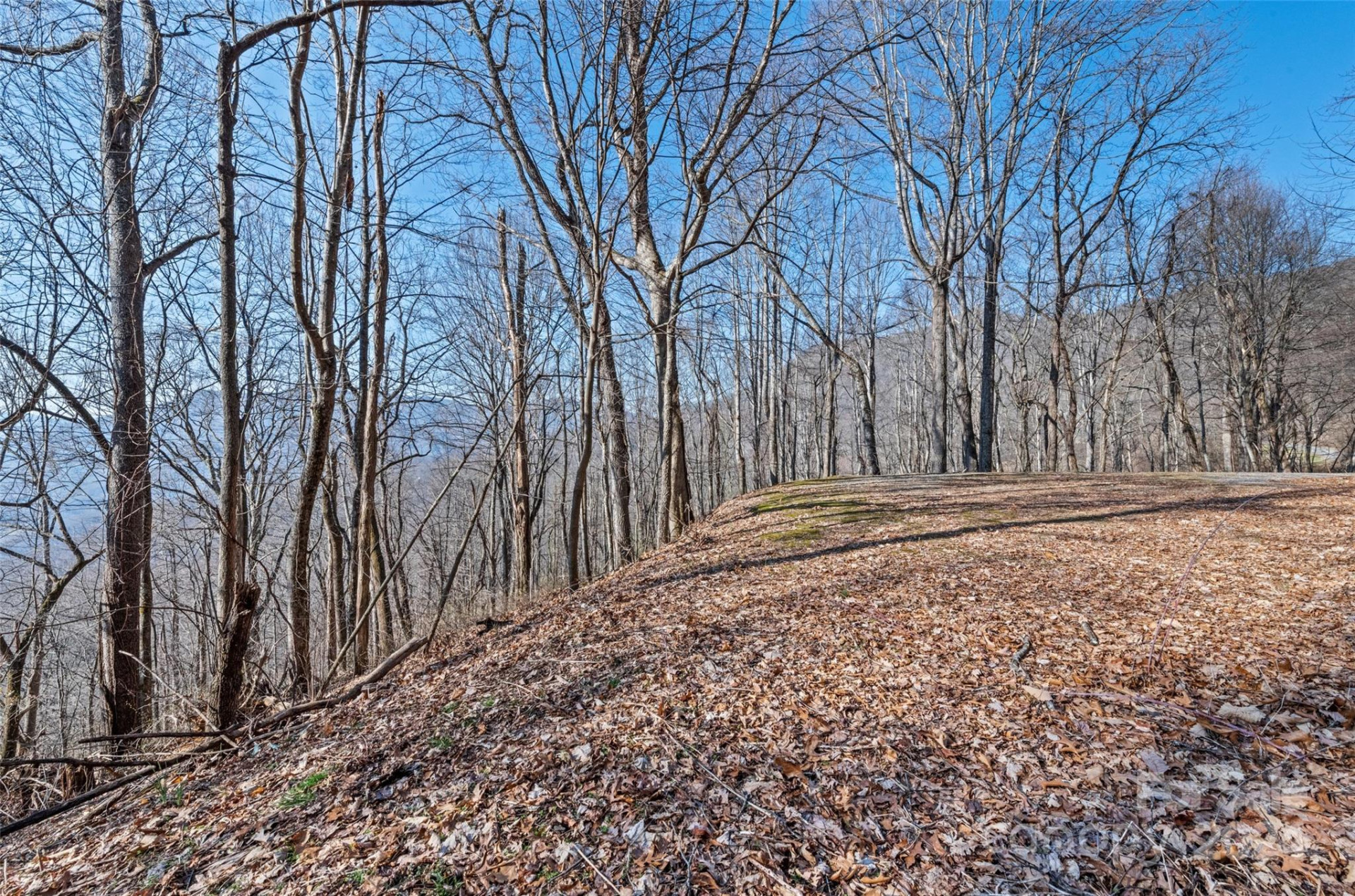 00 Purple Martin Lane - Photo 9