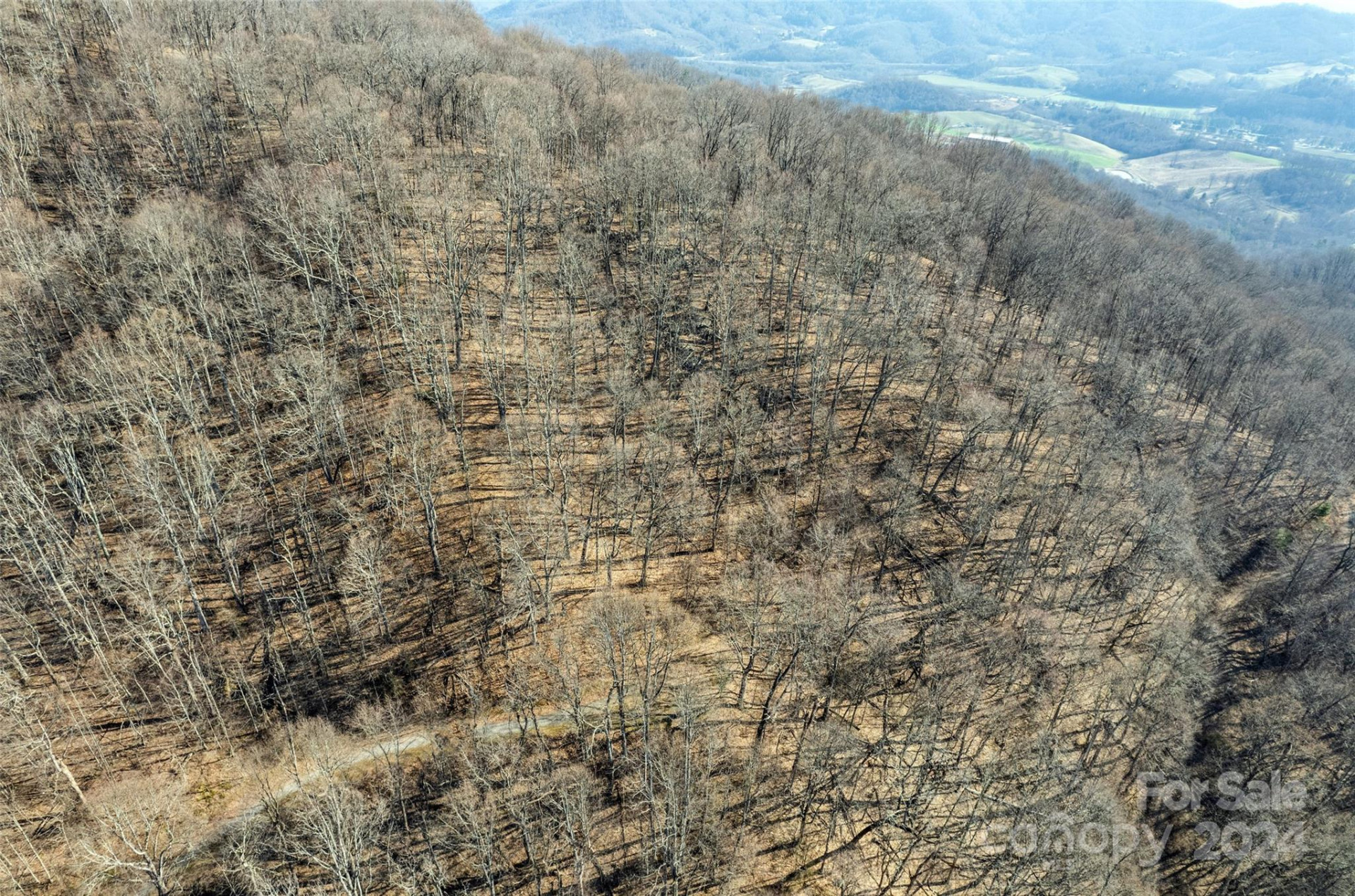 00 Purple Martin Lane - Photo 10