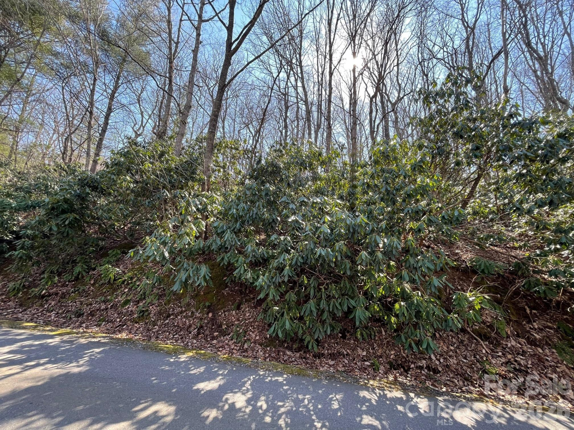111 Deer Run Lane #40