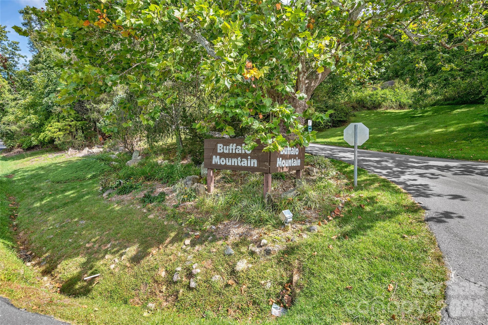 111 Deer Run Lane #40 - Photo 2