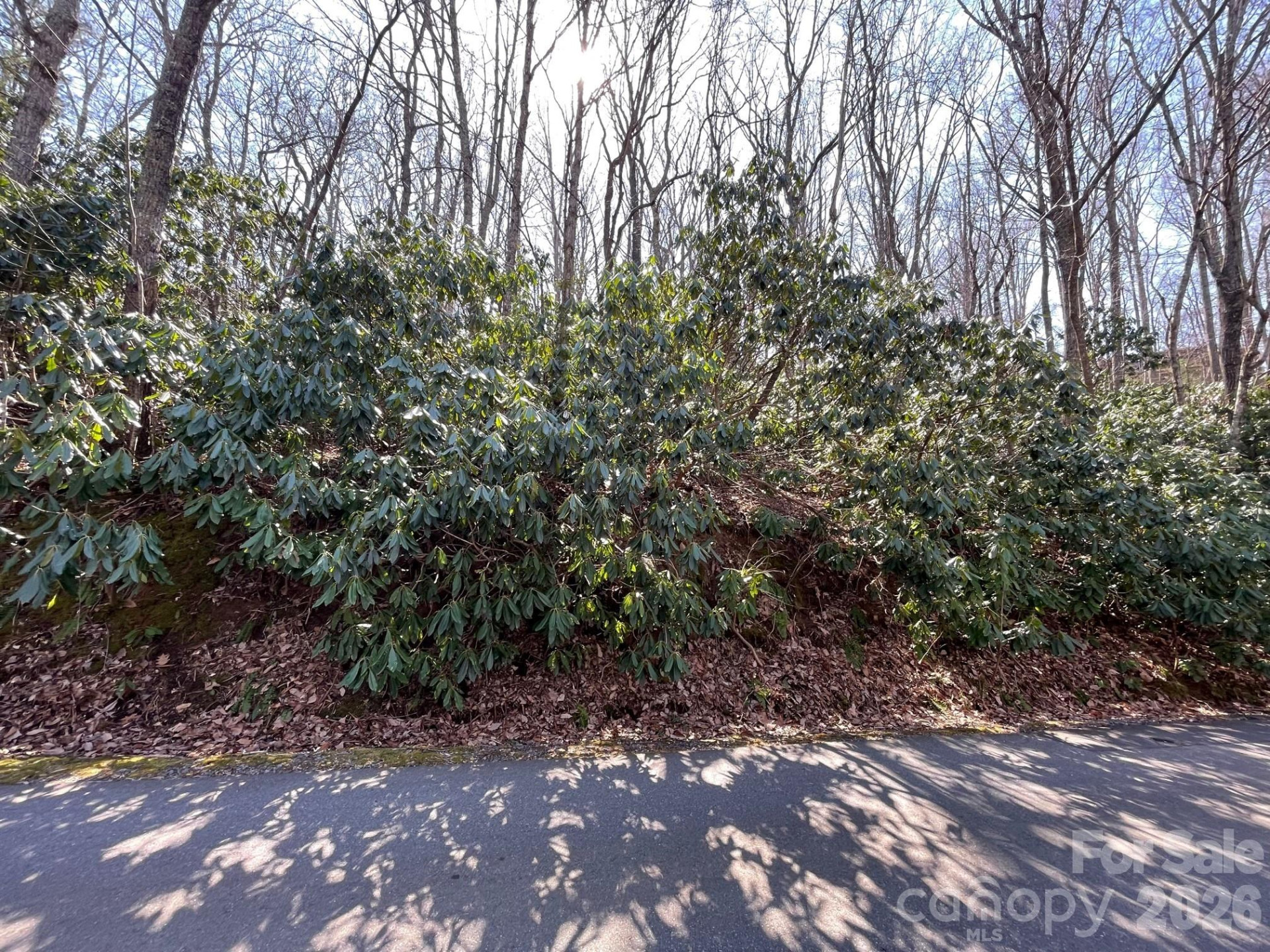 111 Deer Run Lane #40 - Photo 3