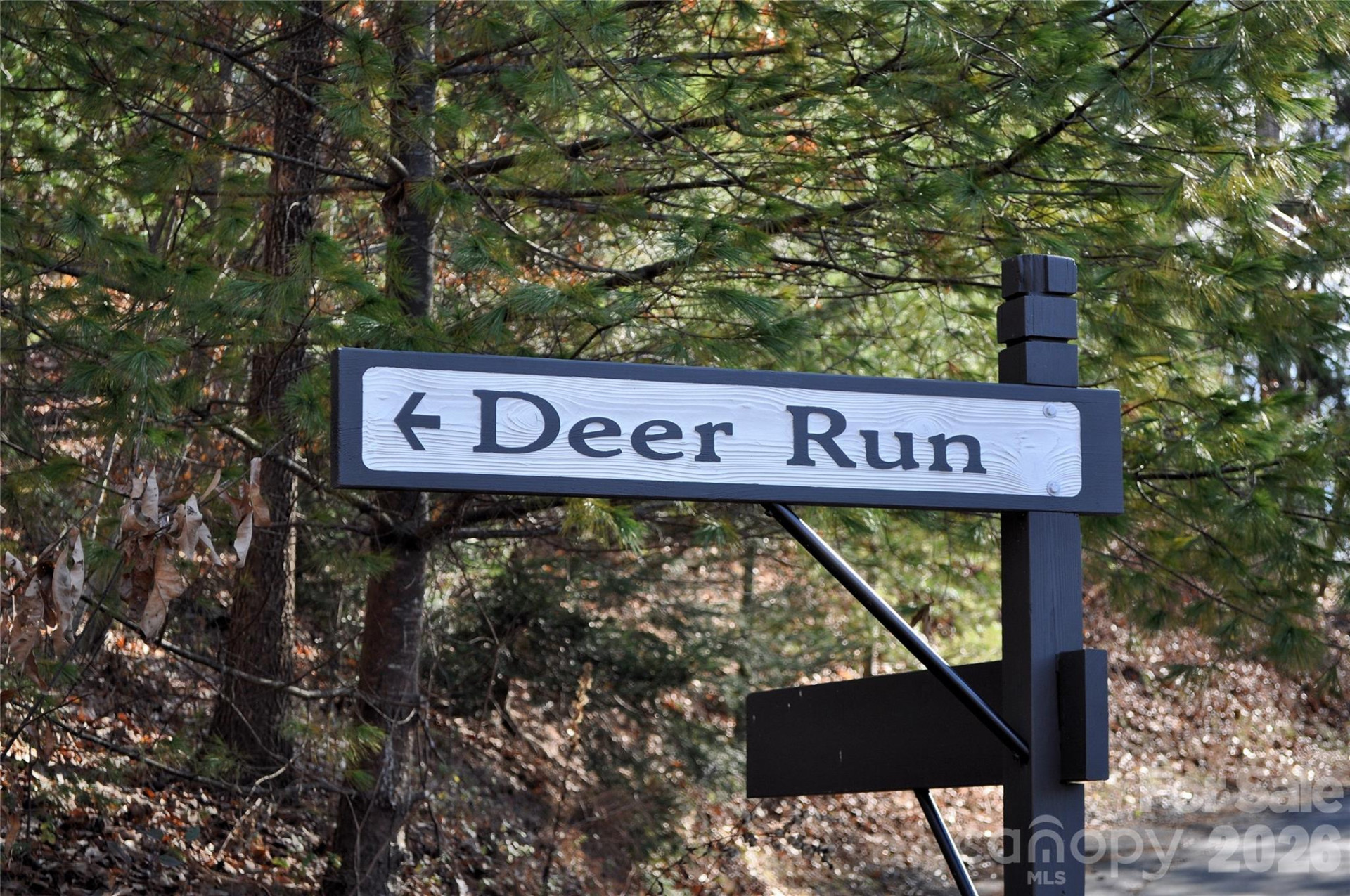 111 Deer Run Lane #40 - Photo 4