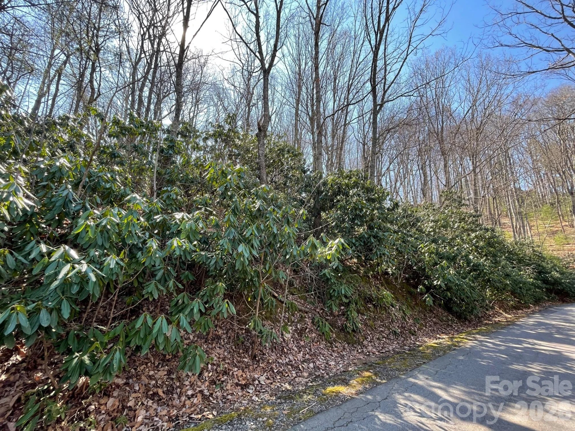 111 Deer Run Lane #40 - Photo 7