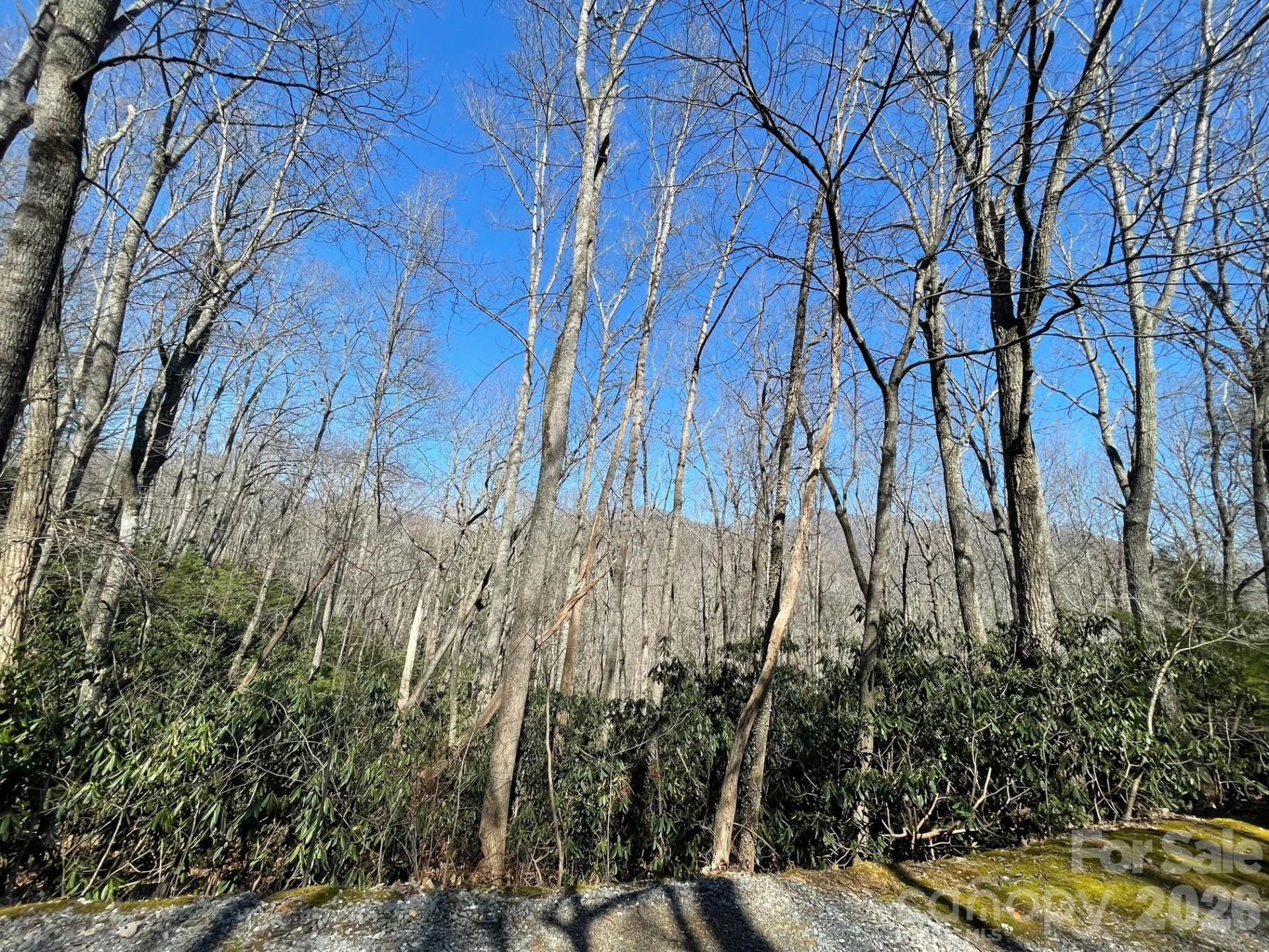 111 Deer Run Lane #40 - Photo 8