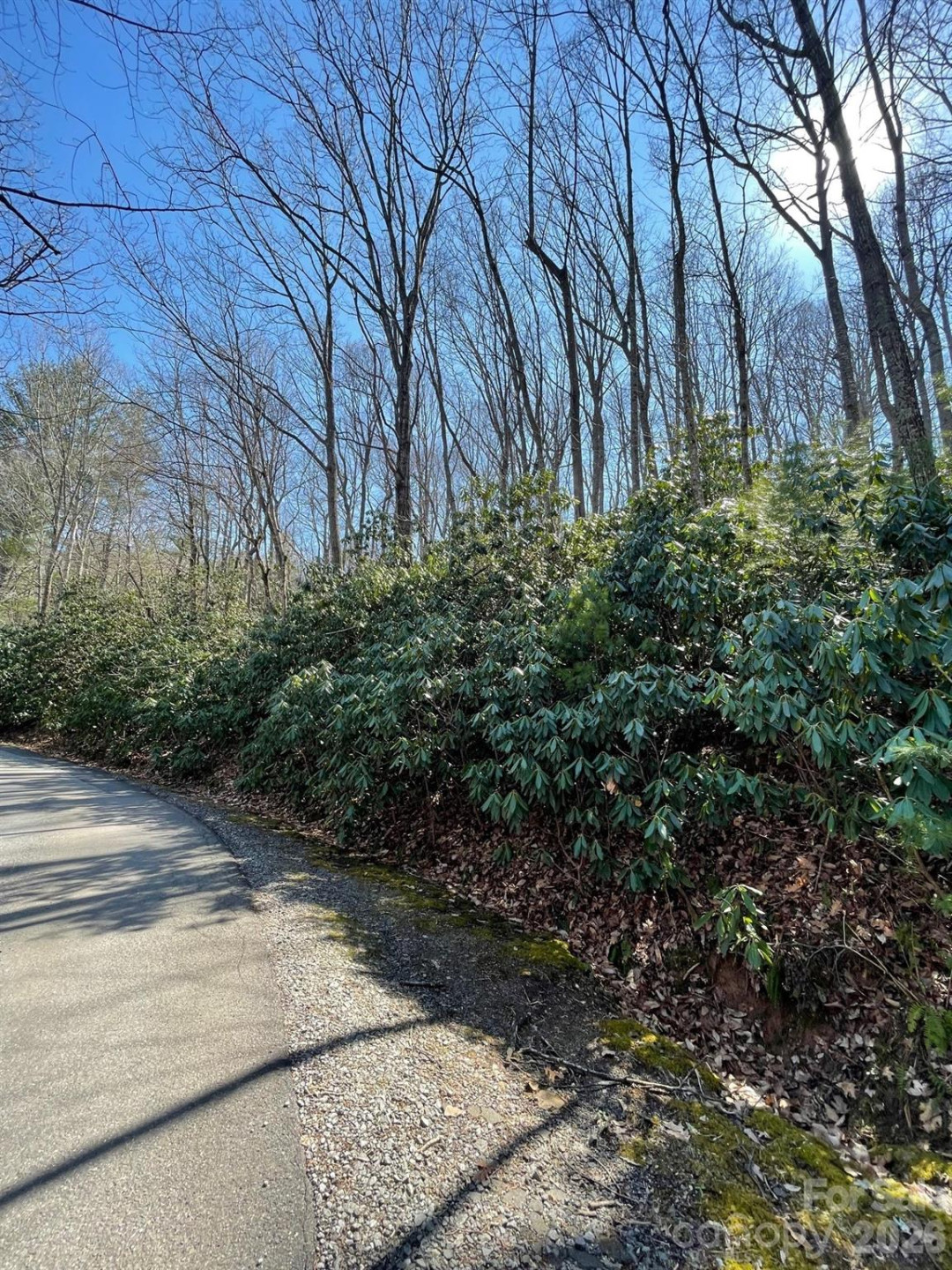 111 Deer Run Lane #40 - Photo 7