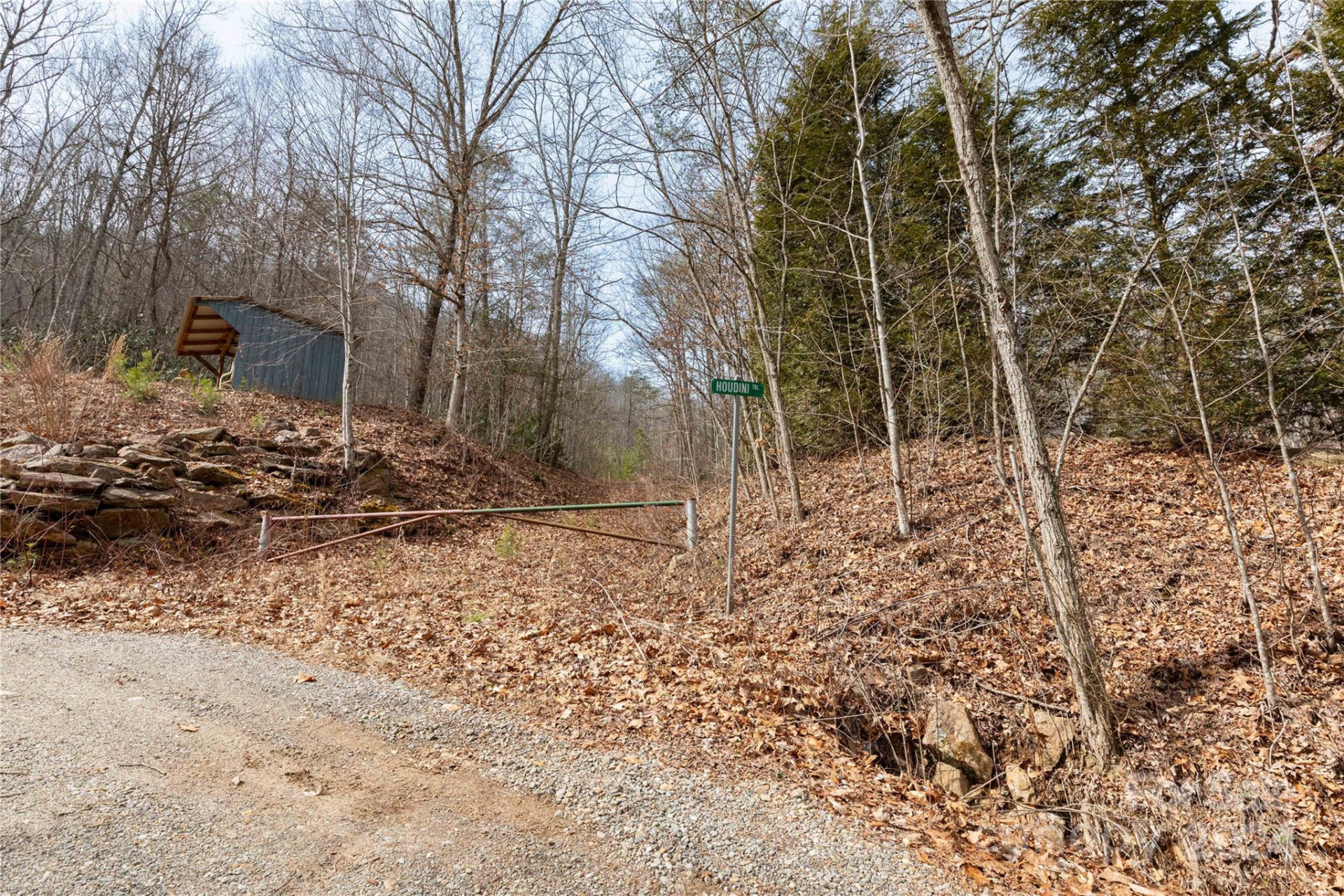 48 Houdini Trail - Photo 2