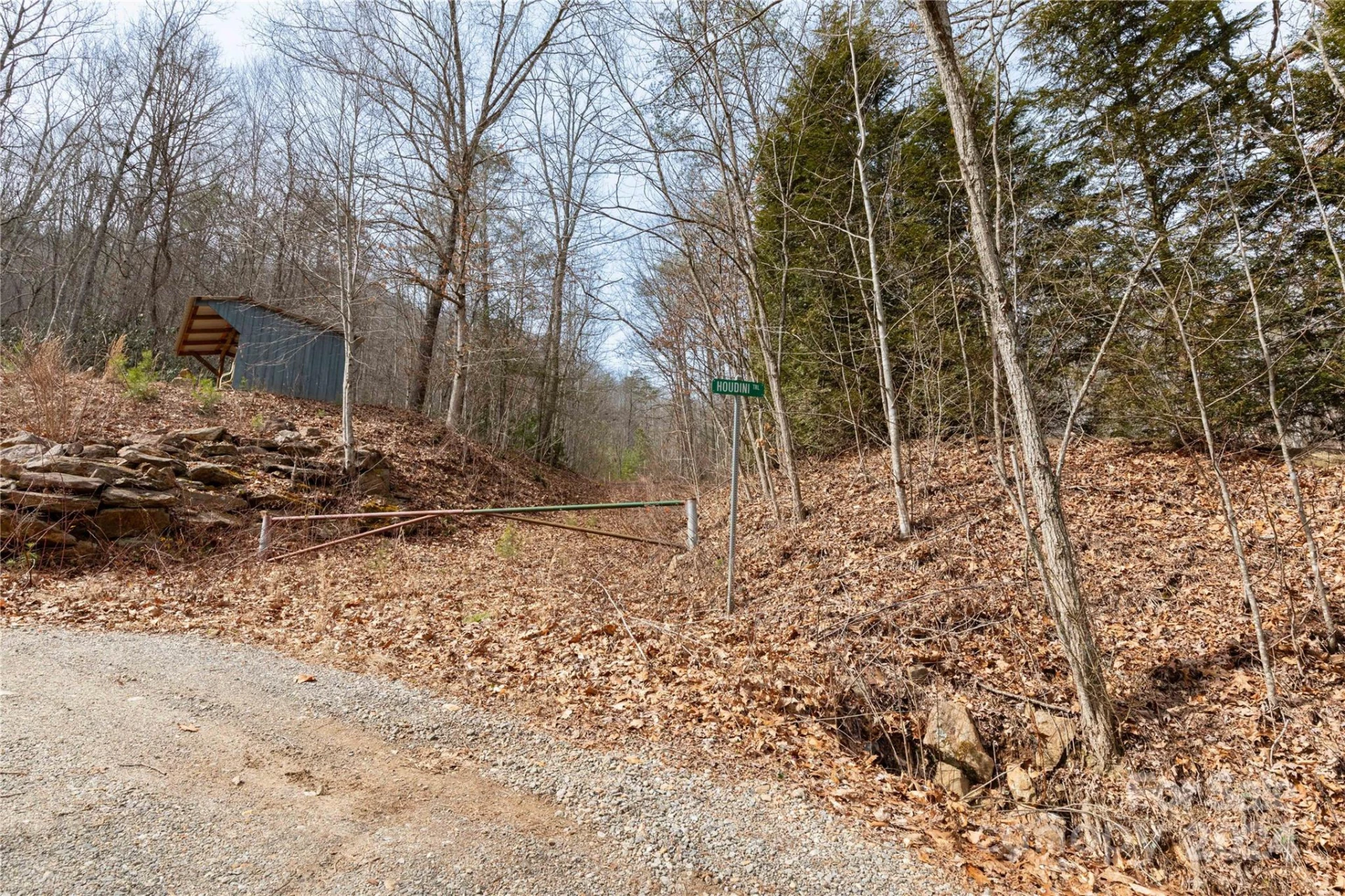 48 Houdini Trail - Photo 2