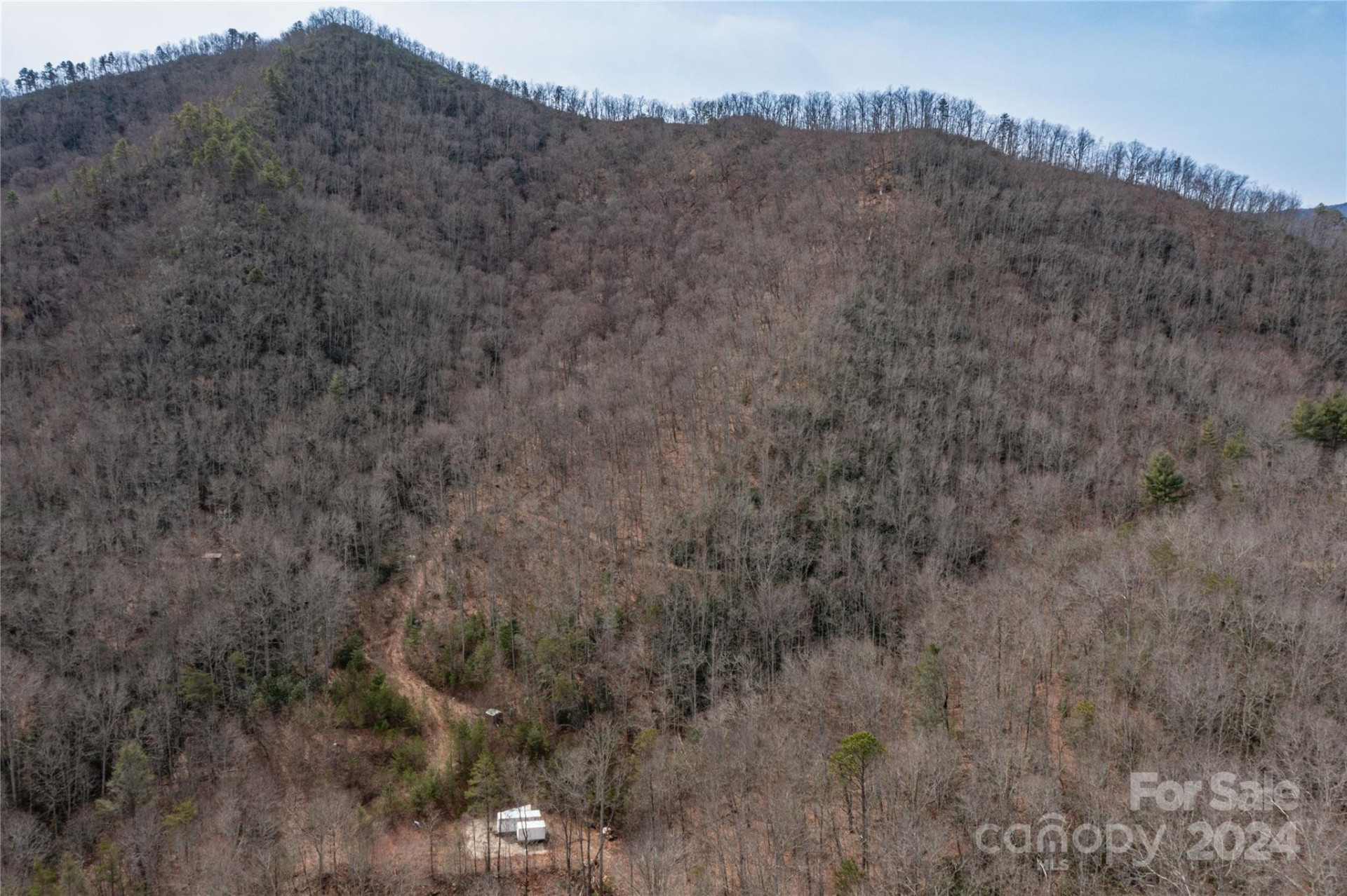48 Houdini Trail - Photo 12