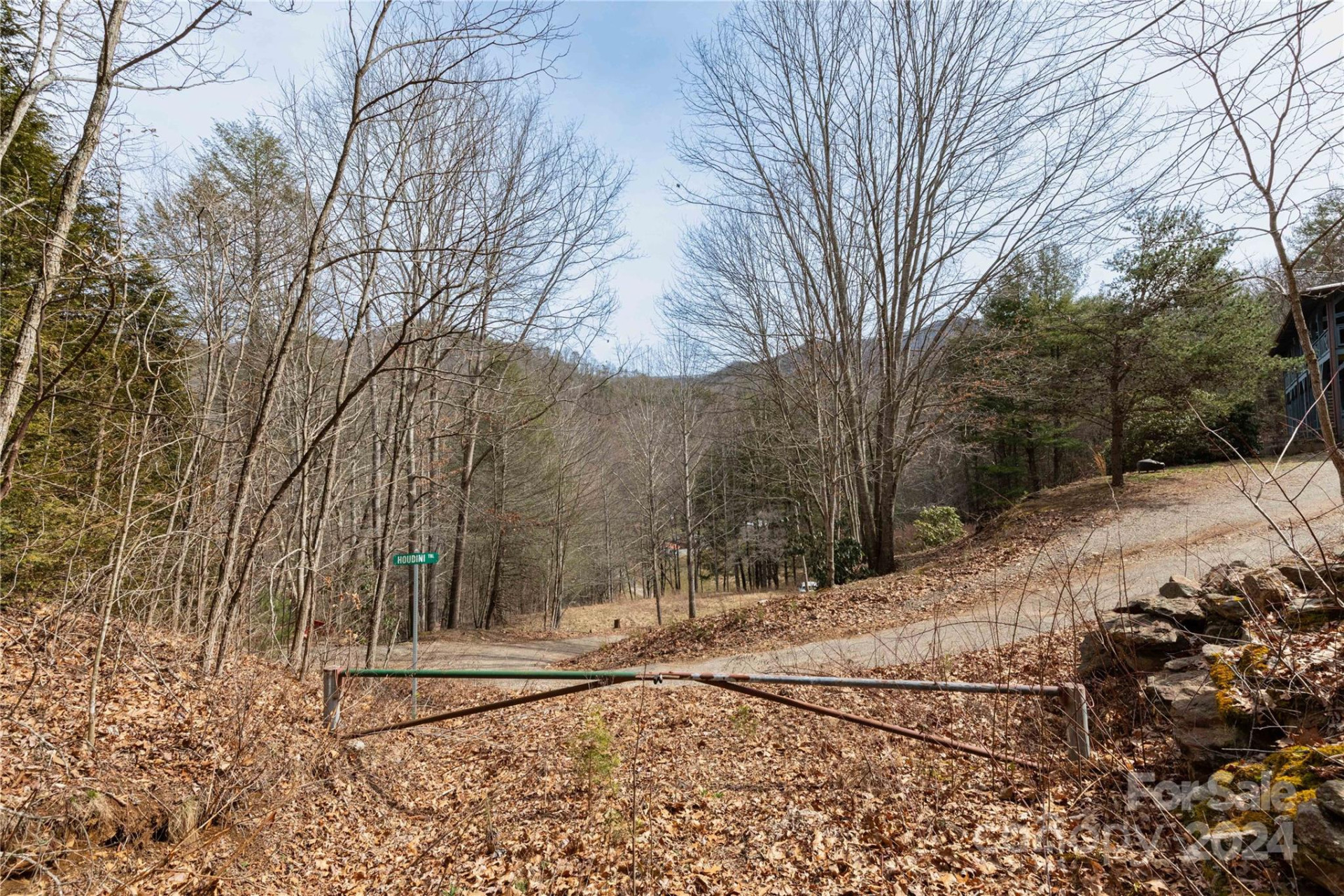48 Houdini Trail - Photo 13