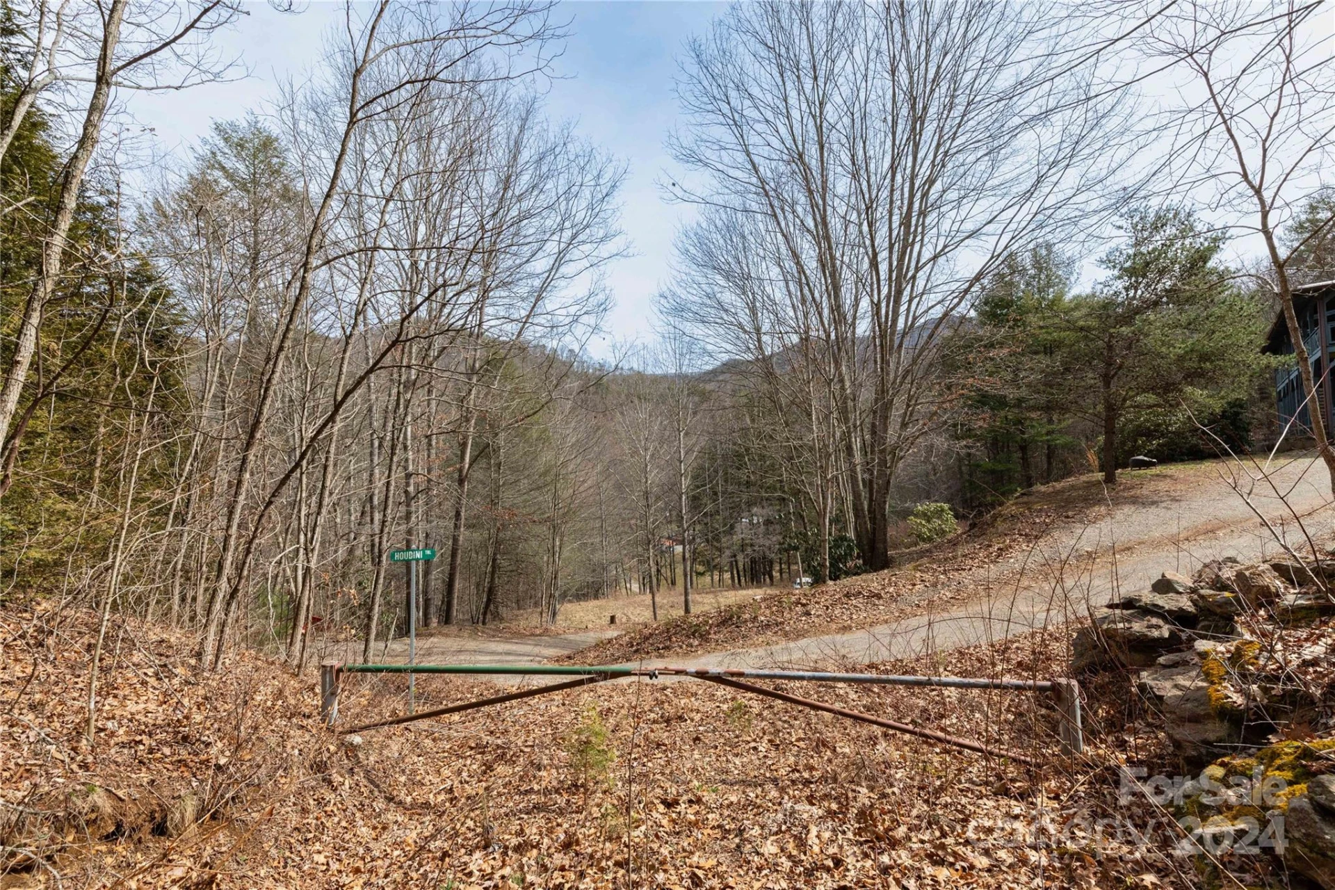 48 Houdini Trail - Photo 13