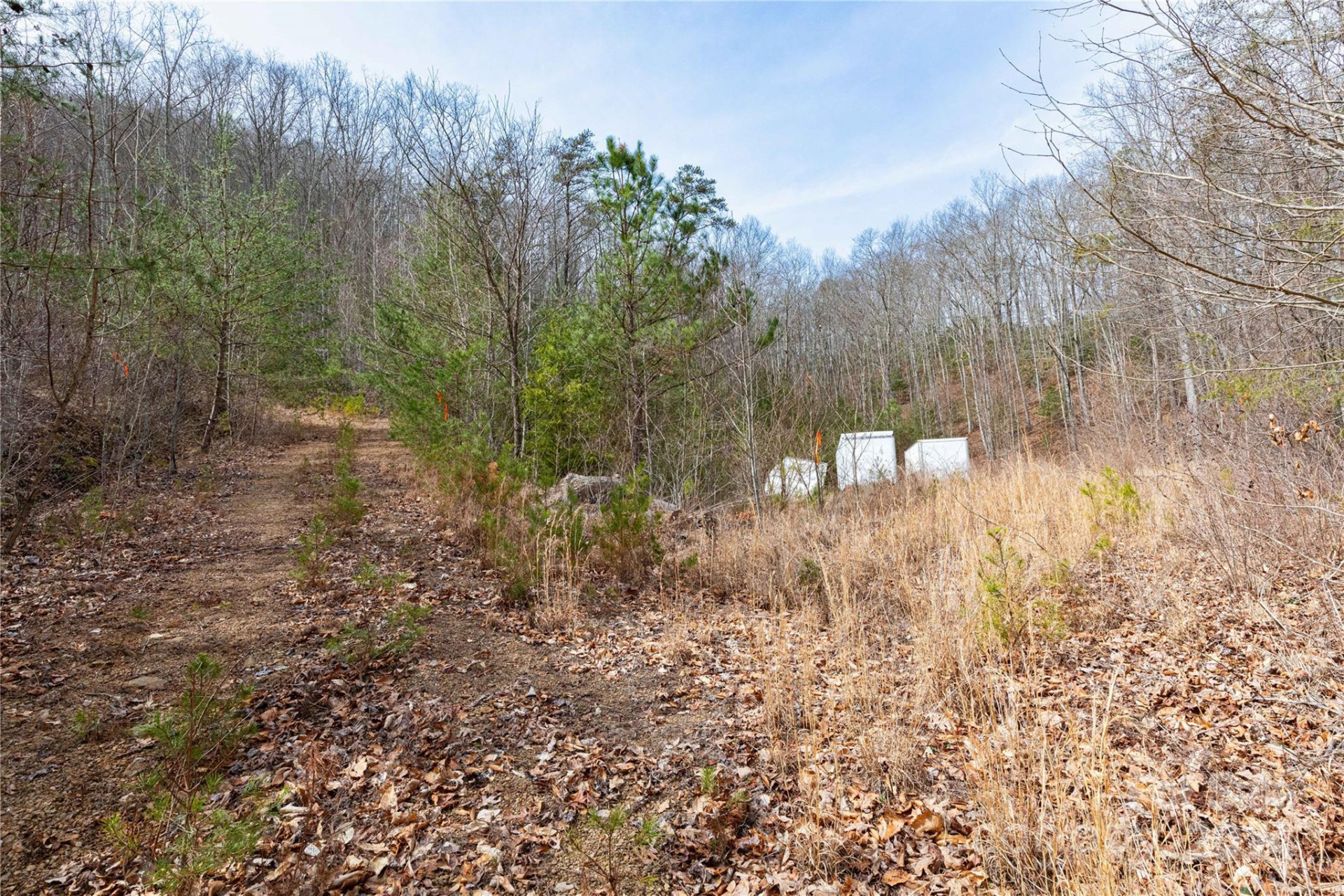 48 Houdini Trail - Photo 3