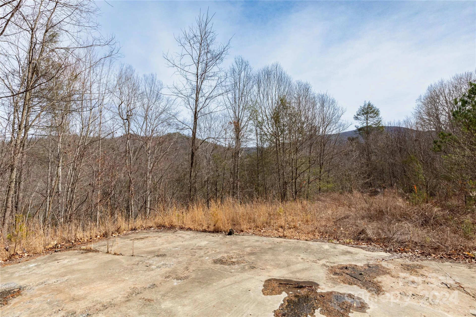 48 Houdini Trail - Photo 4