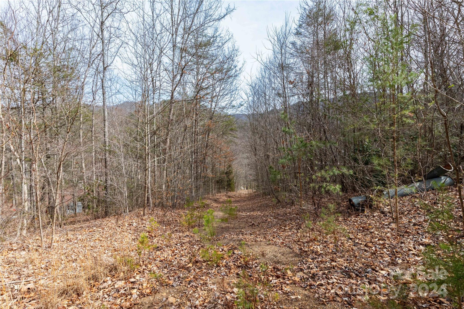 48 Houdini Trail - Photo 7