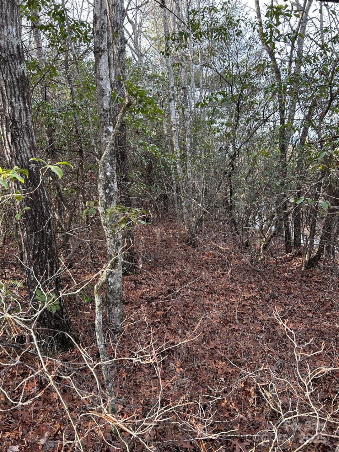 00 Howell Road - Photo 2