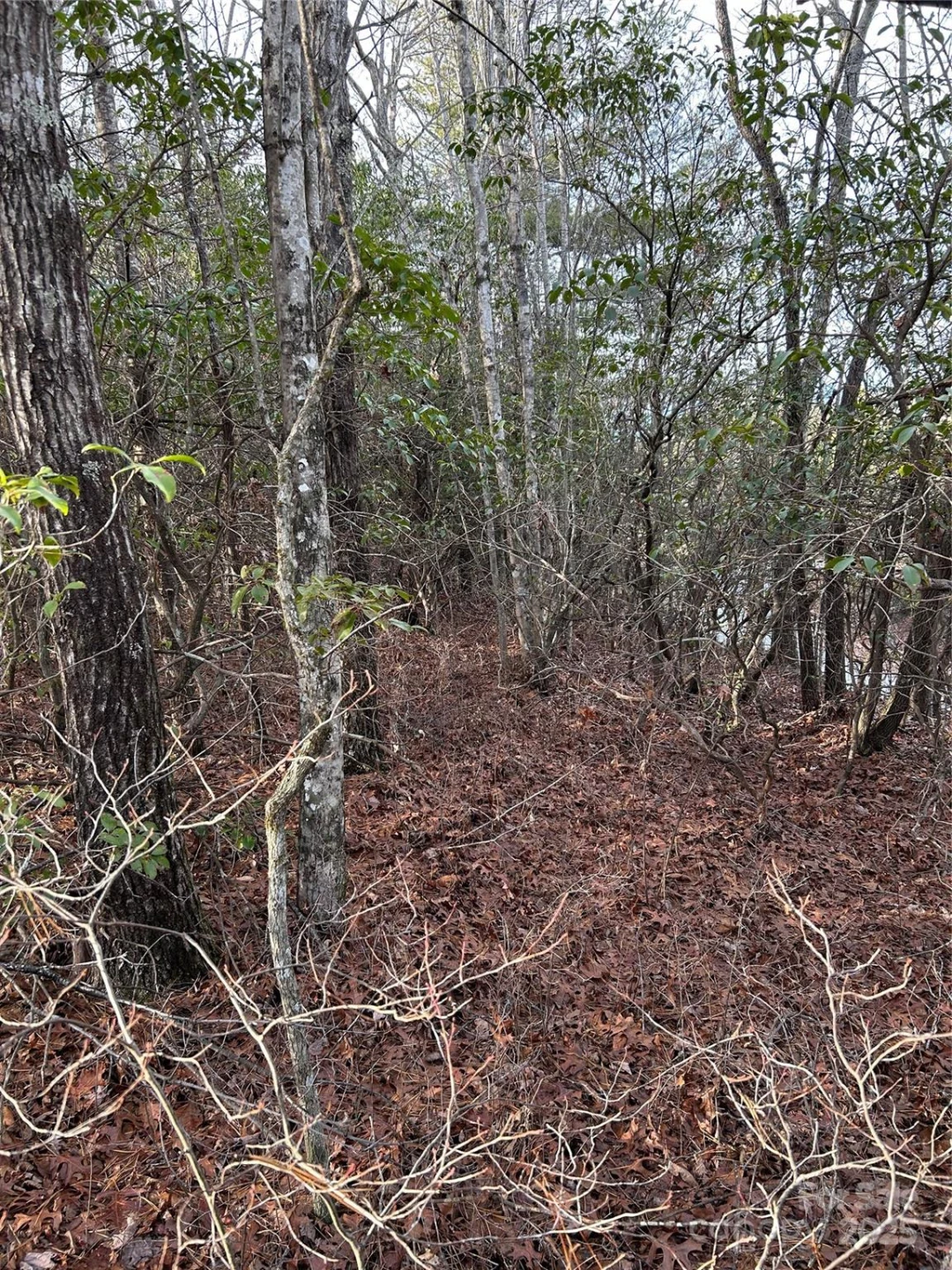 00 Howell Road - Photo 2