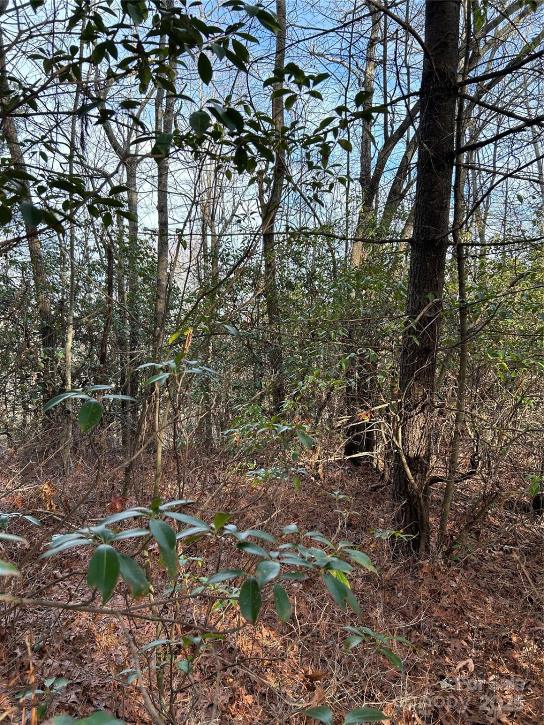 00 Howell Road - Photo 12