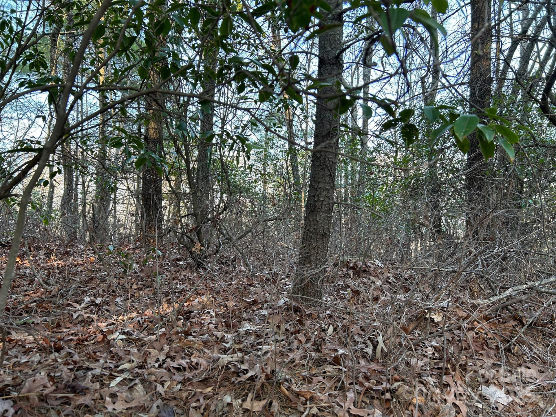 00 Howell Road - Photo 14