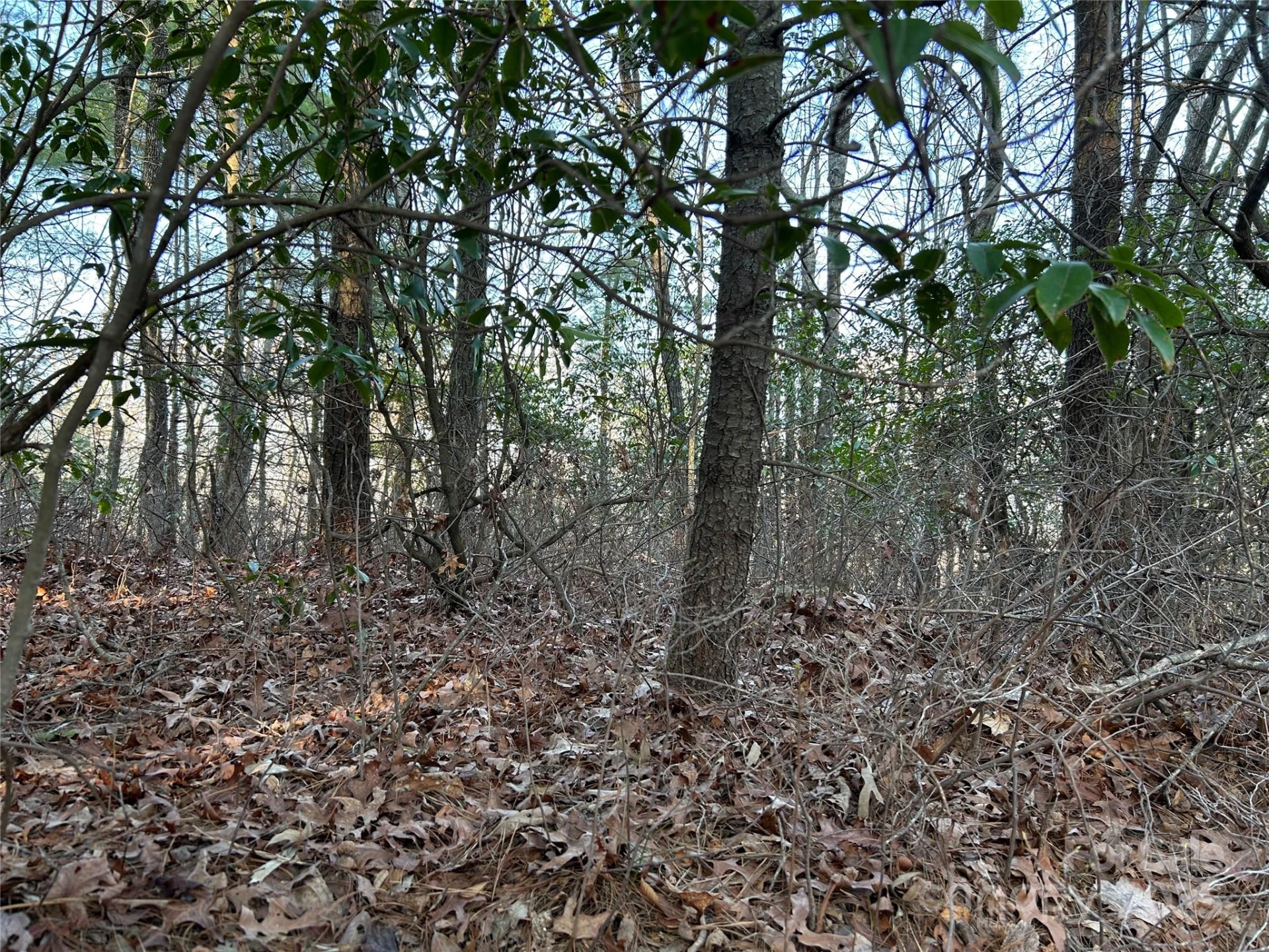 00 Howell Road - Photo 14