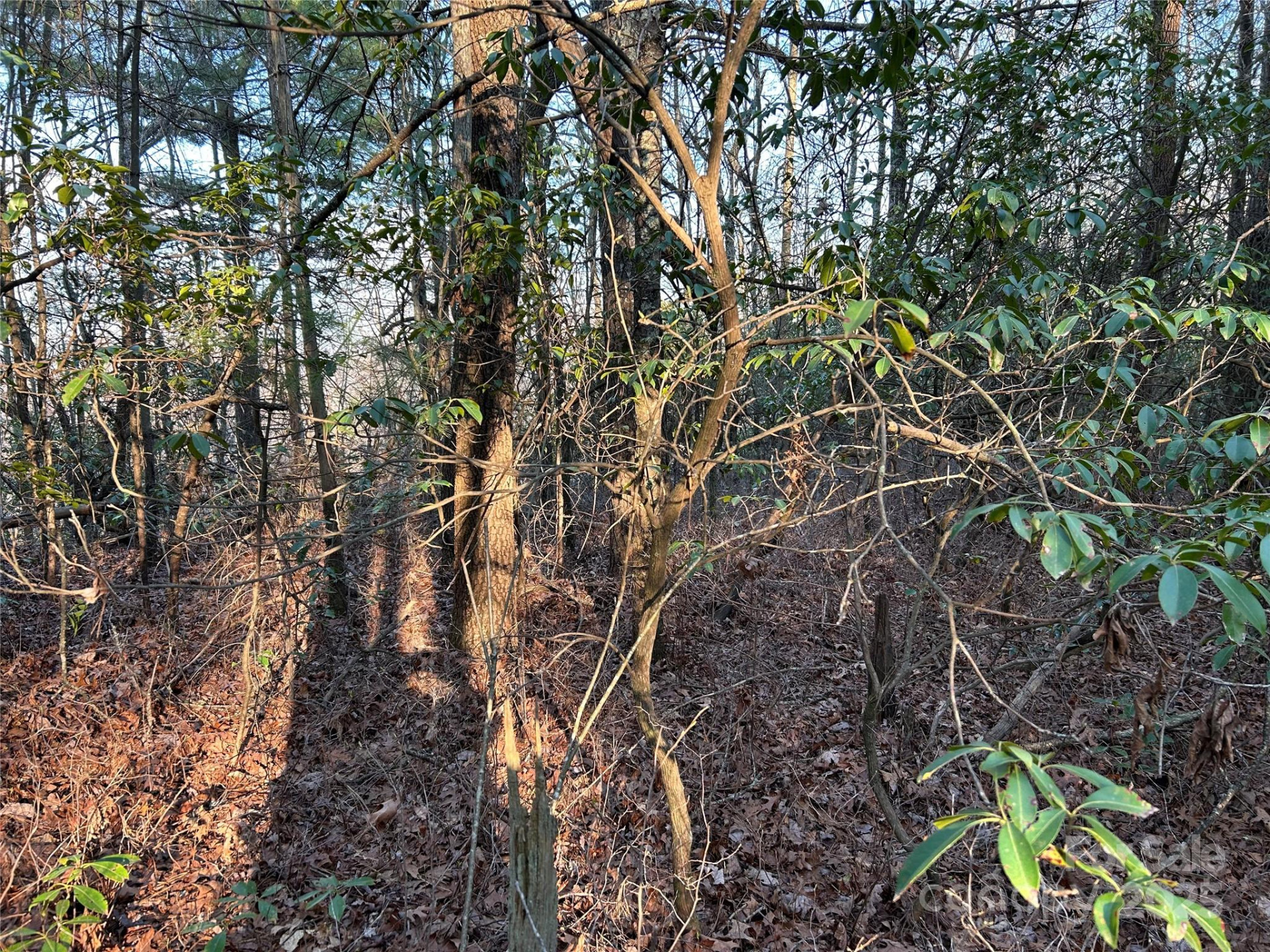 00 Howell Road - Photo 16