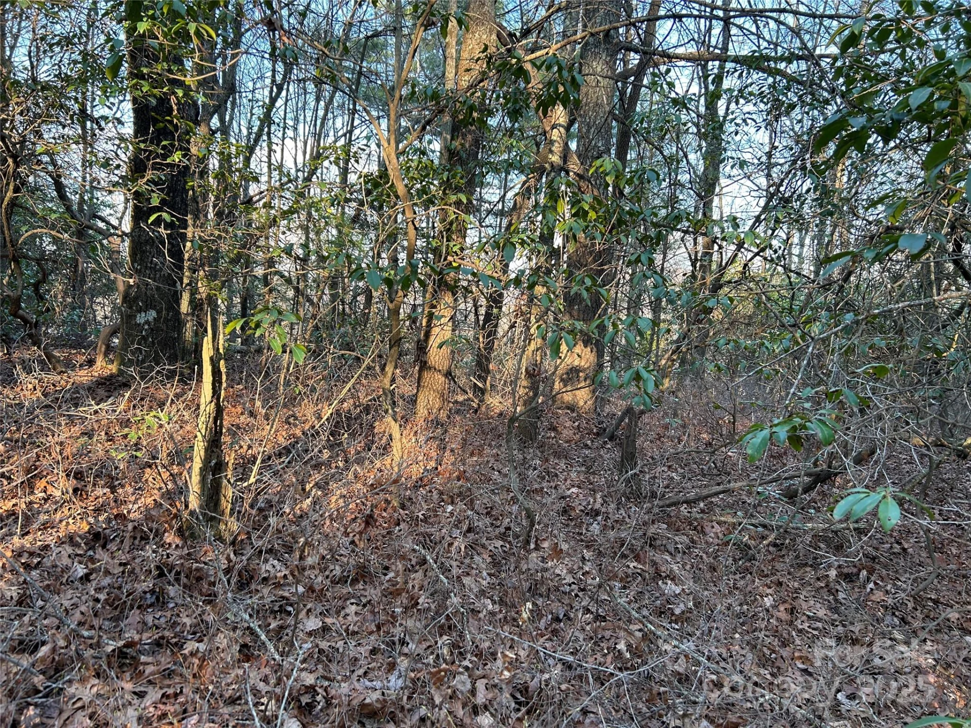 00 Howell Road - Photo 17