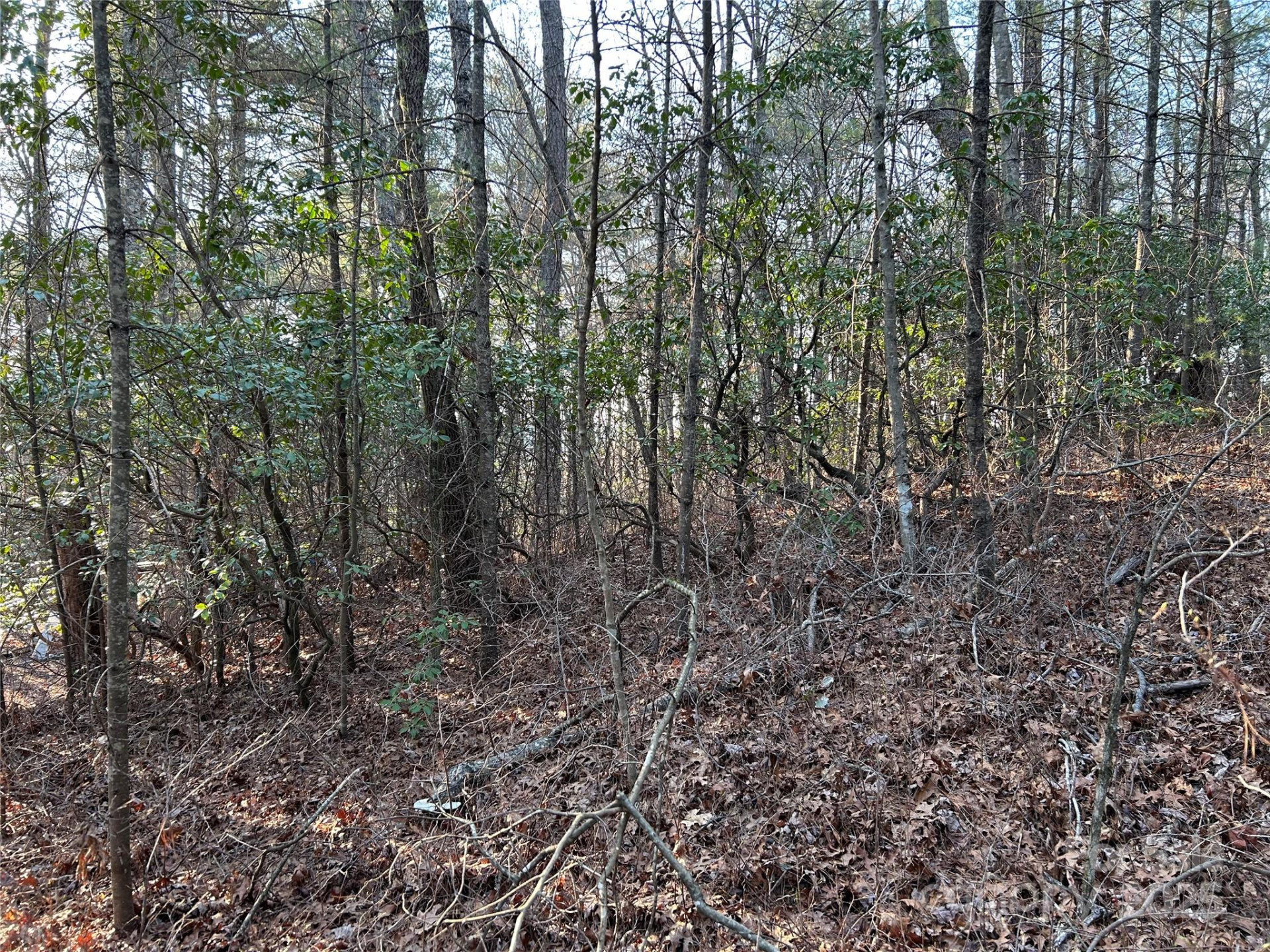 00 Howell Road - Photo 3