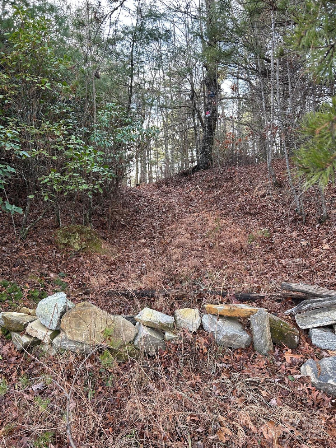 00 Howell Road - Photo 4