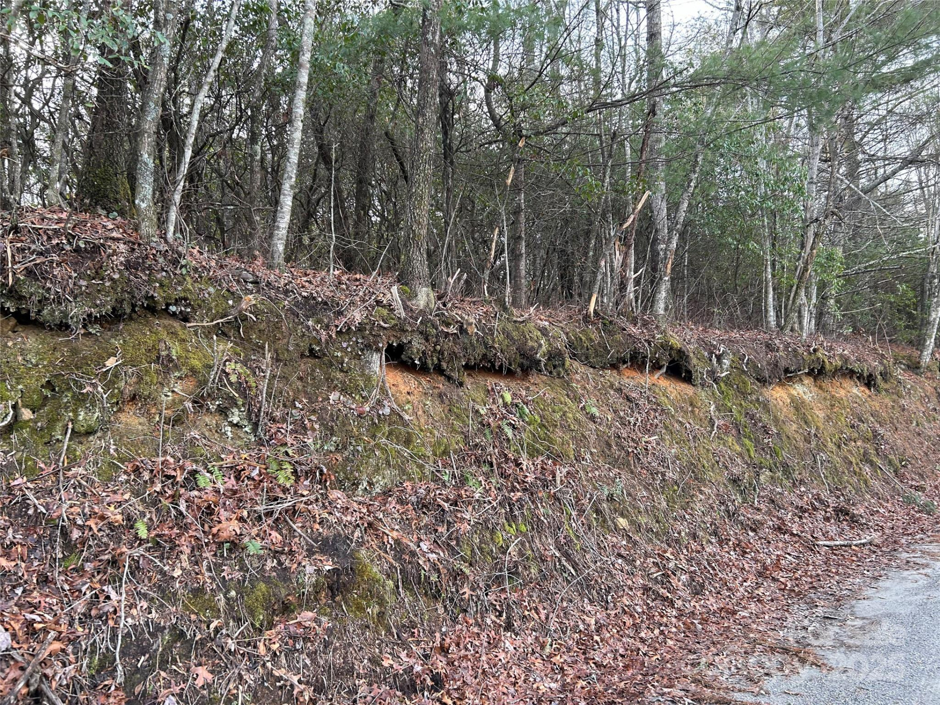 00 Howell Road - Photo 5