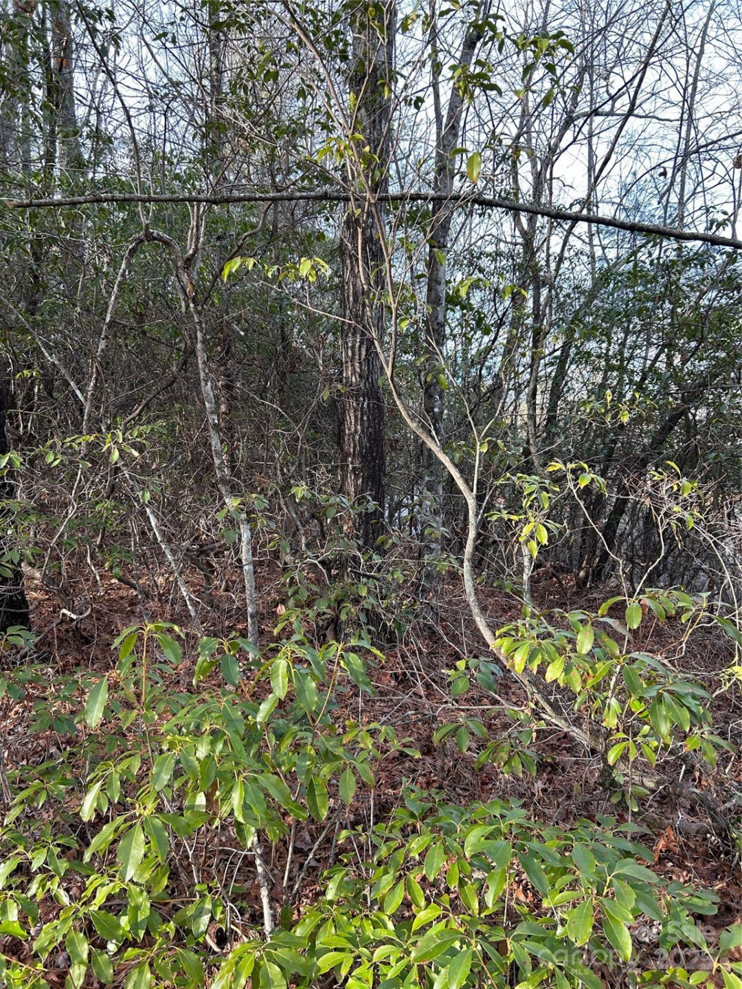 00 Howell Road - Photo 6