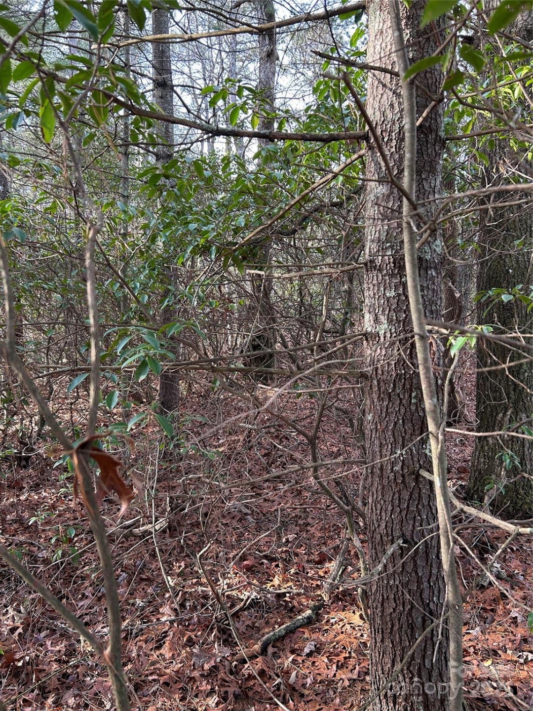 00 Howell Road - Photo 8