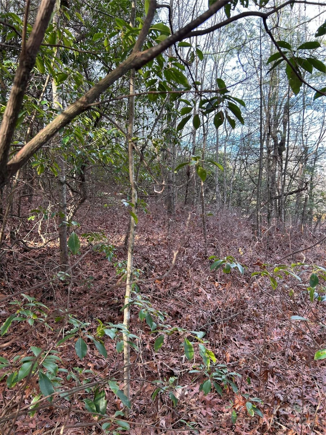 00 Howell Road - Photo 9