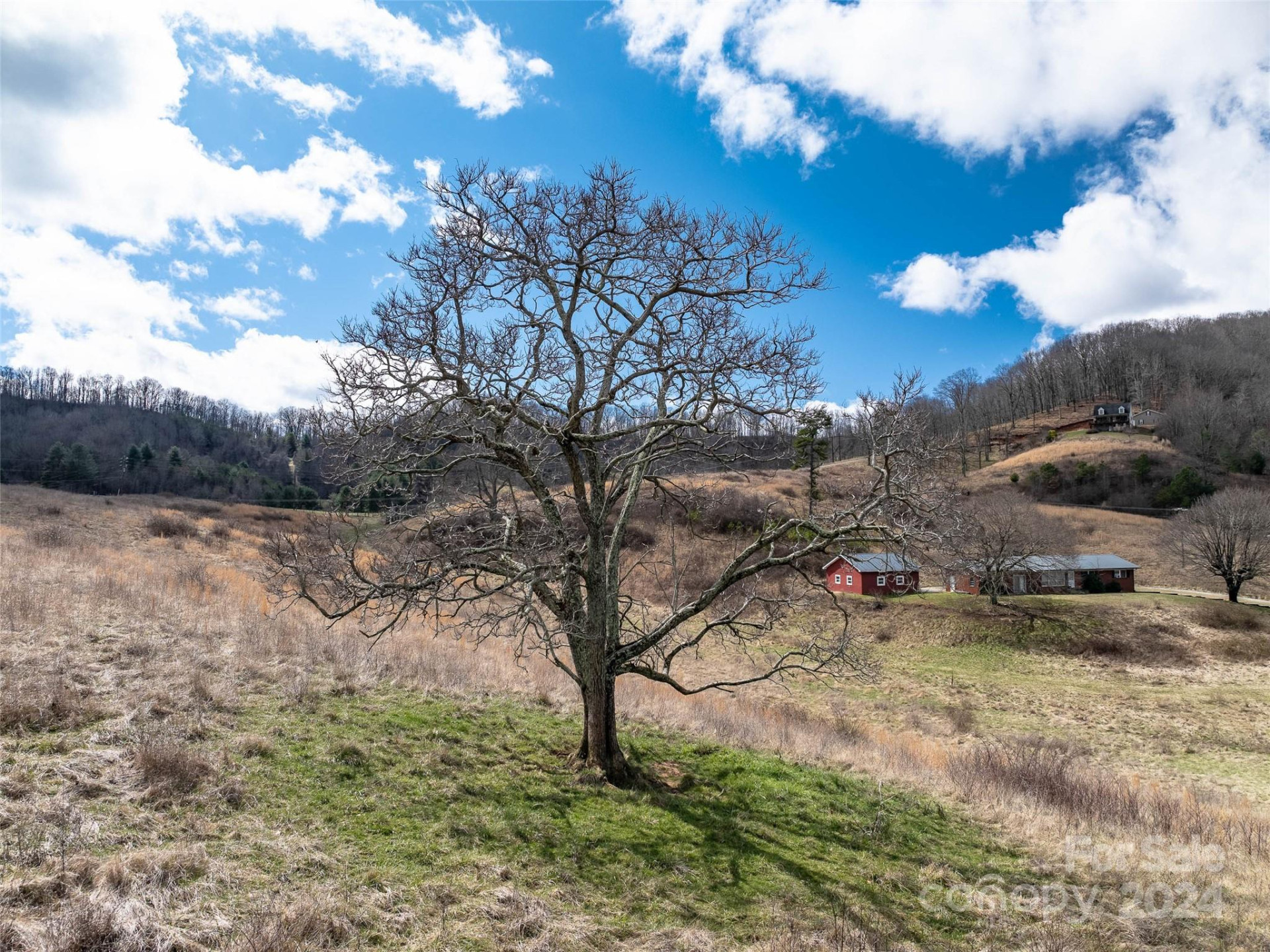 00 Belmont Drive - Photo 14