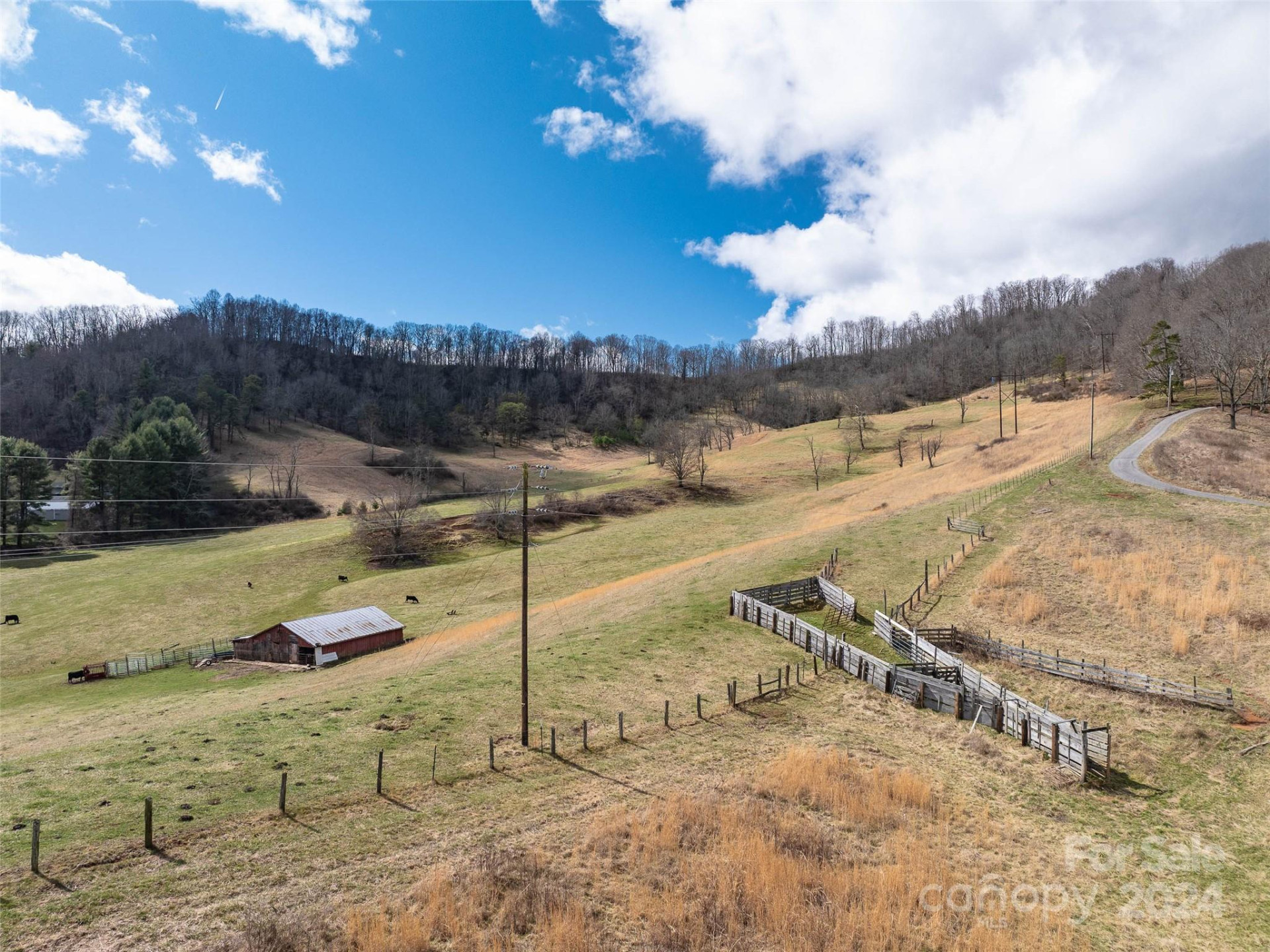 00 Belmont Drive - Photo 6