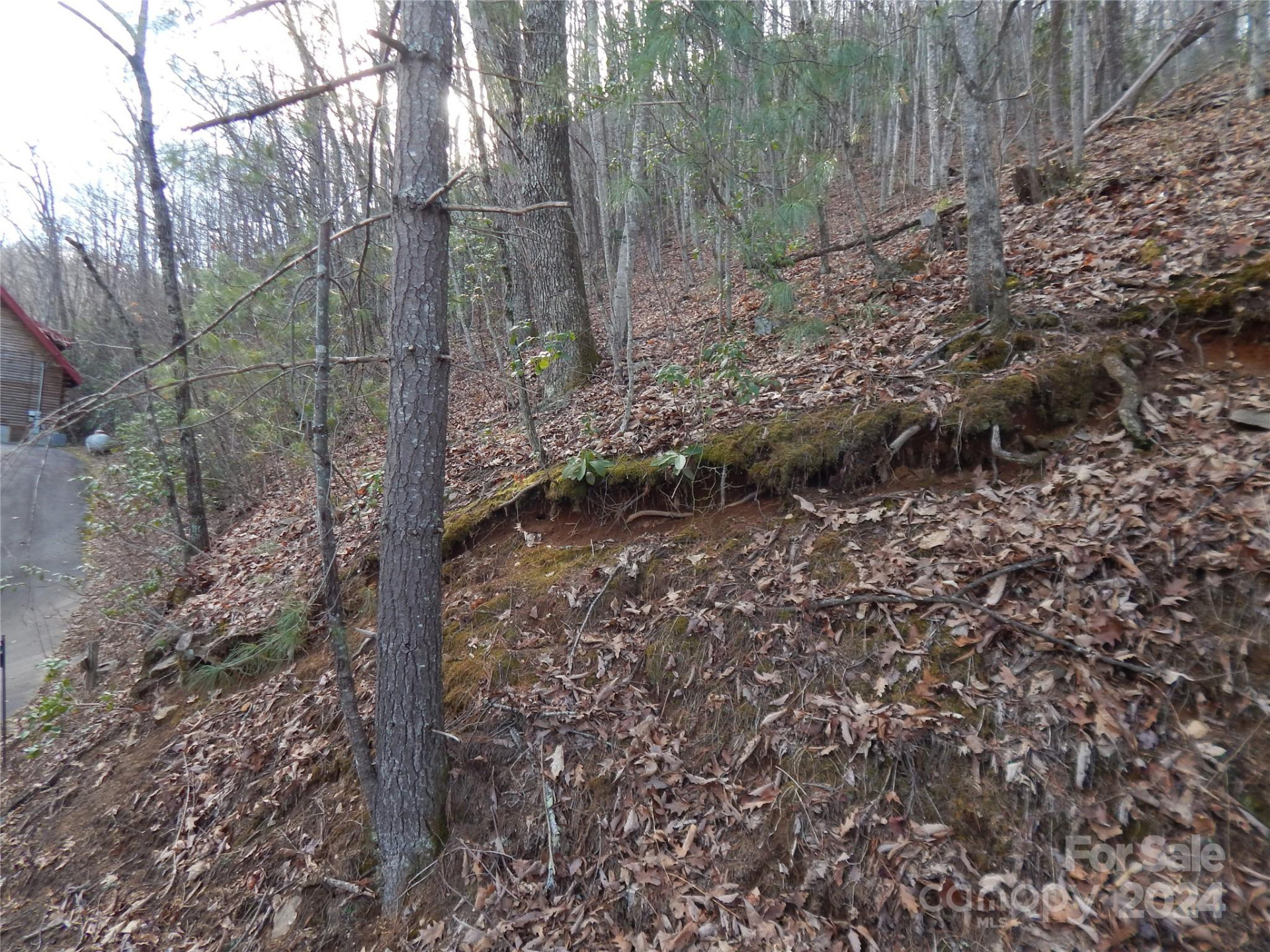 00 Hoot Owl Bill Road - Photo 2