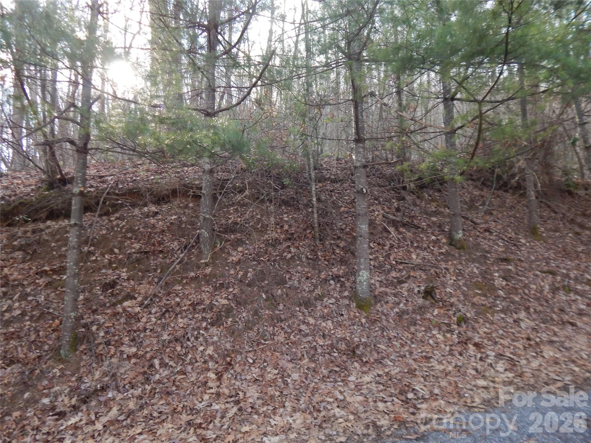 00 Hoot Owl Bill Road - Photo 2