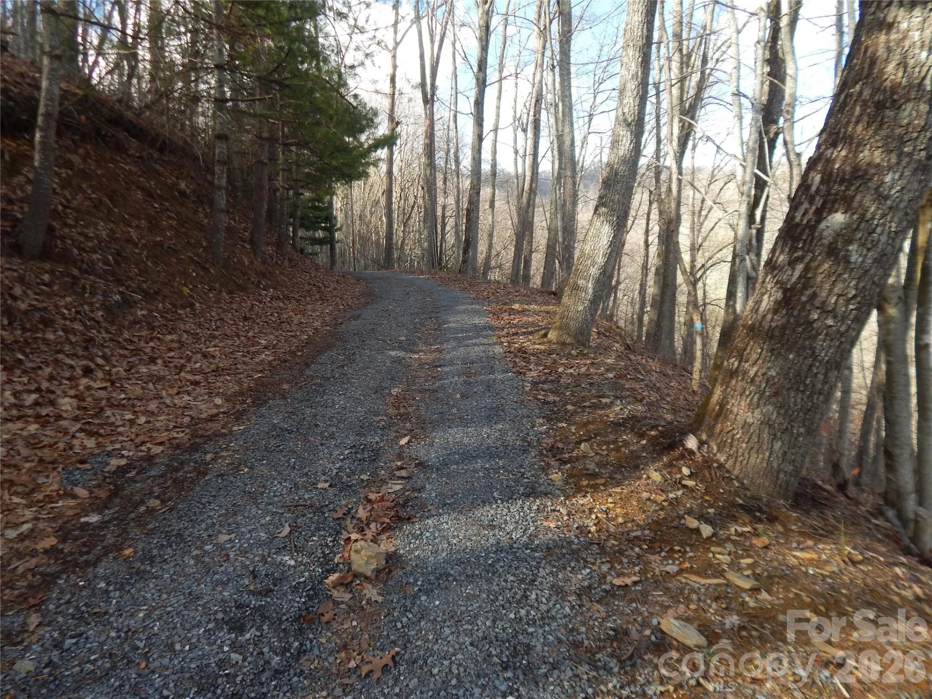 00 Hoot Owl Bill Road - Photo 11