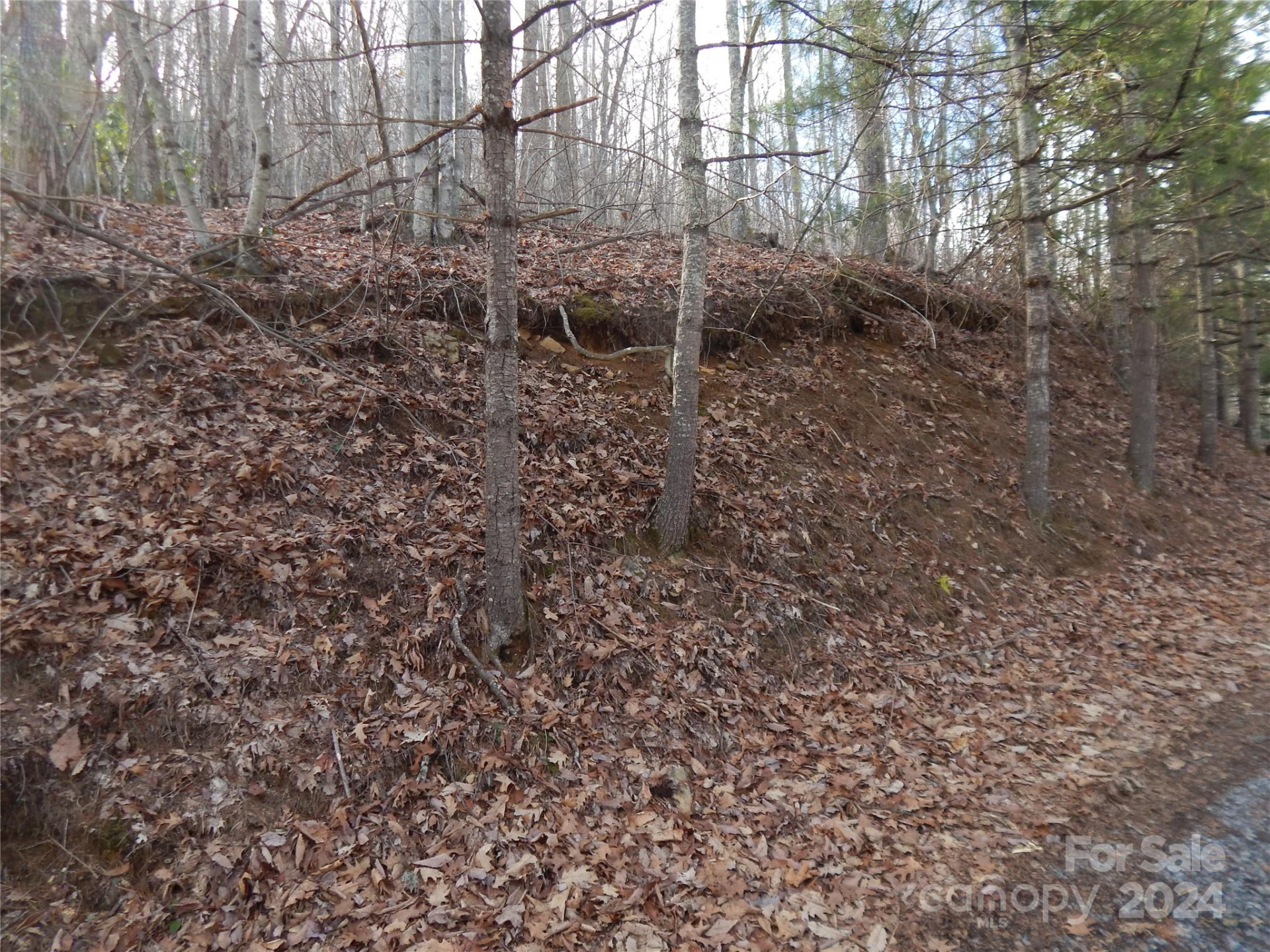 00 Hoot Owl Bill Road - Photo 12