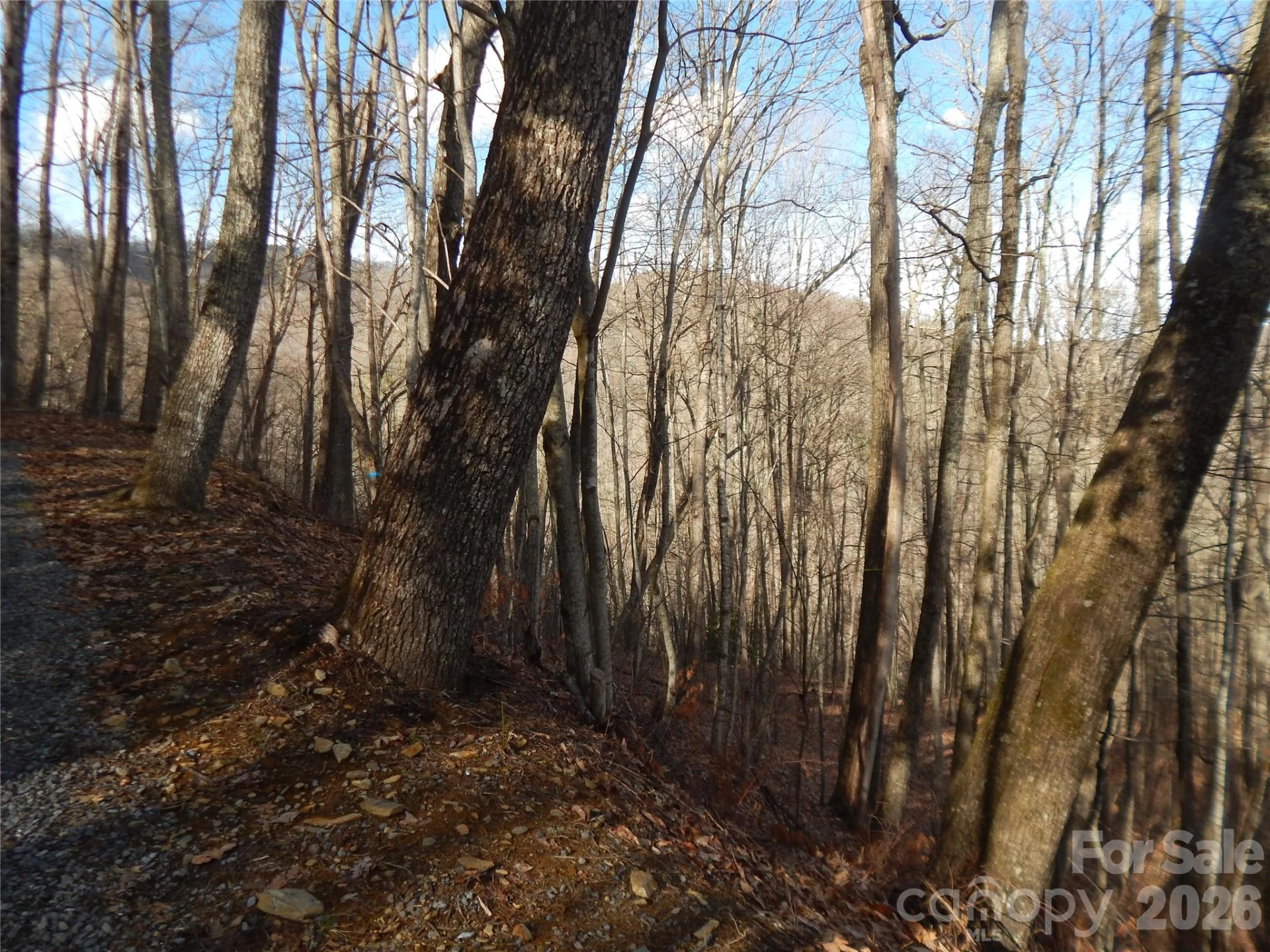 00 Hoot Owl Bill Road - Photo 12