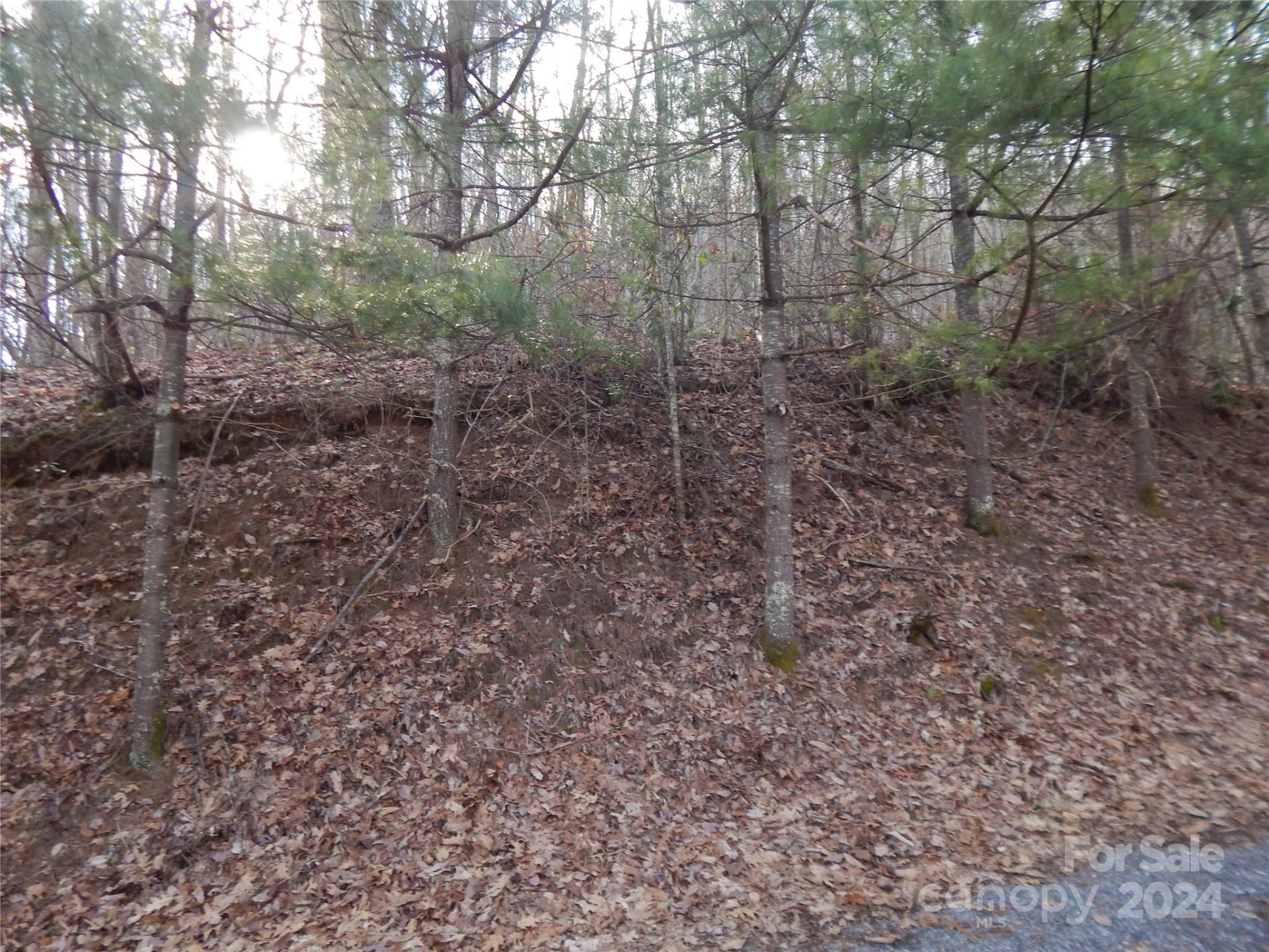 00 Hoot Owl Bill Road - Photo 14