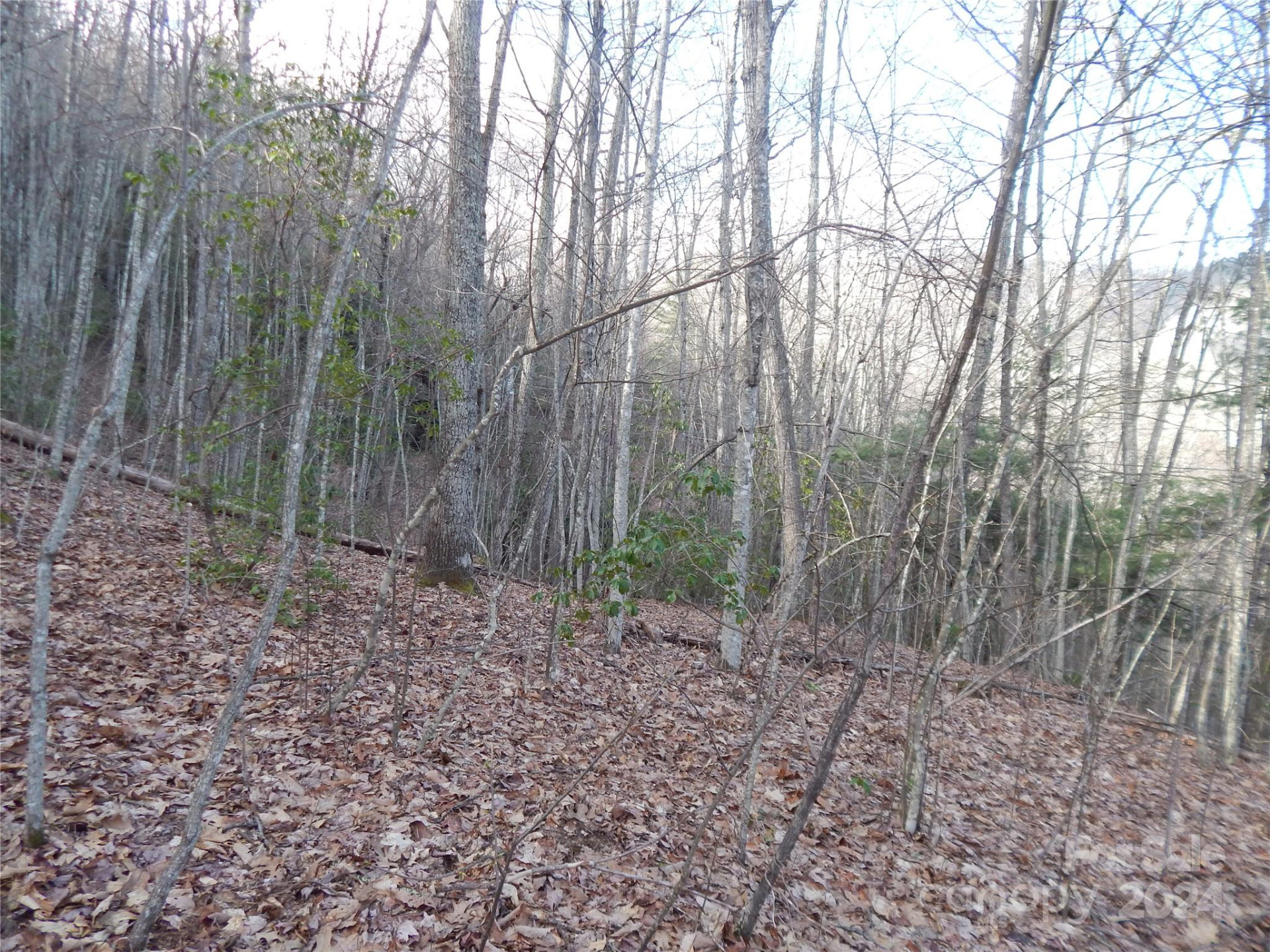 00 Hoot Owl Bill Road - Photo 20