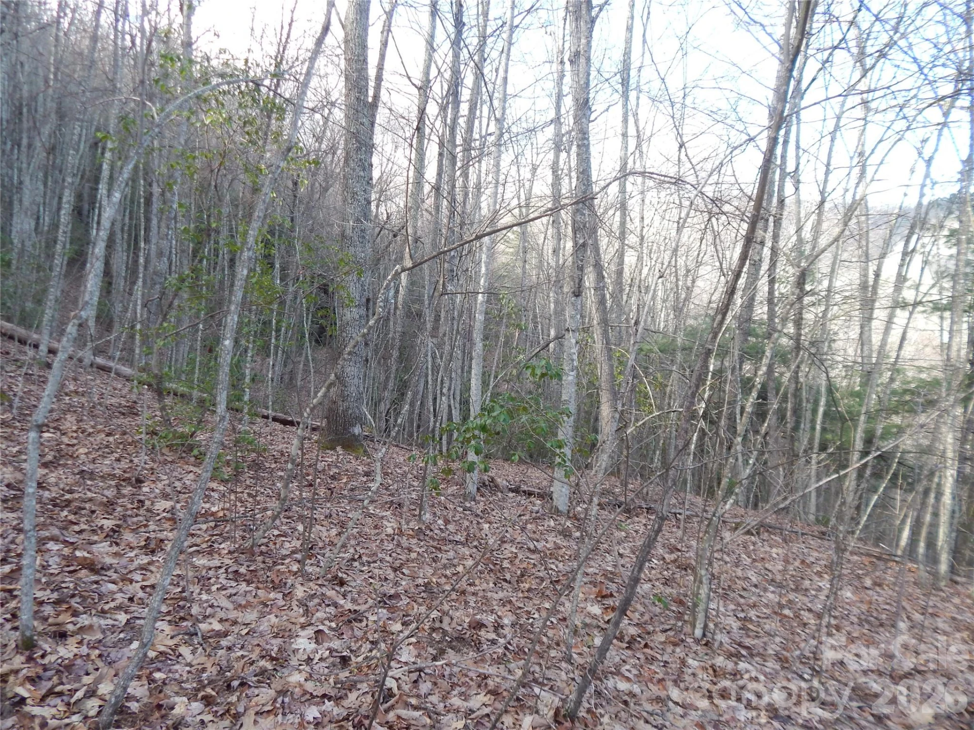 00 Hoot Owl Bill Road - Photo 20