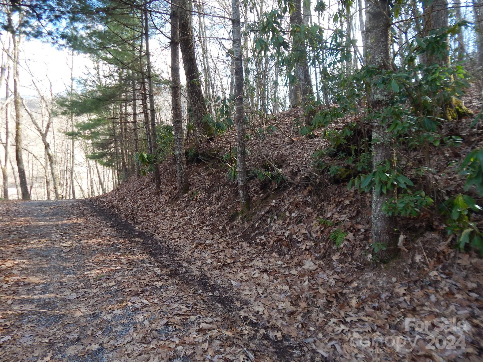 00 Hoot Owl Bill Road - Photo 3