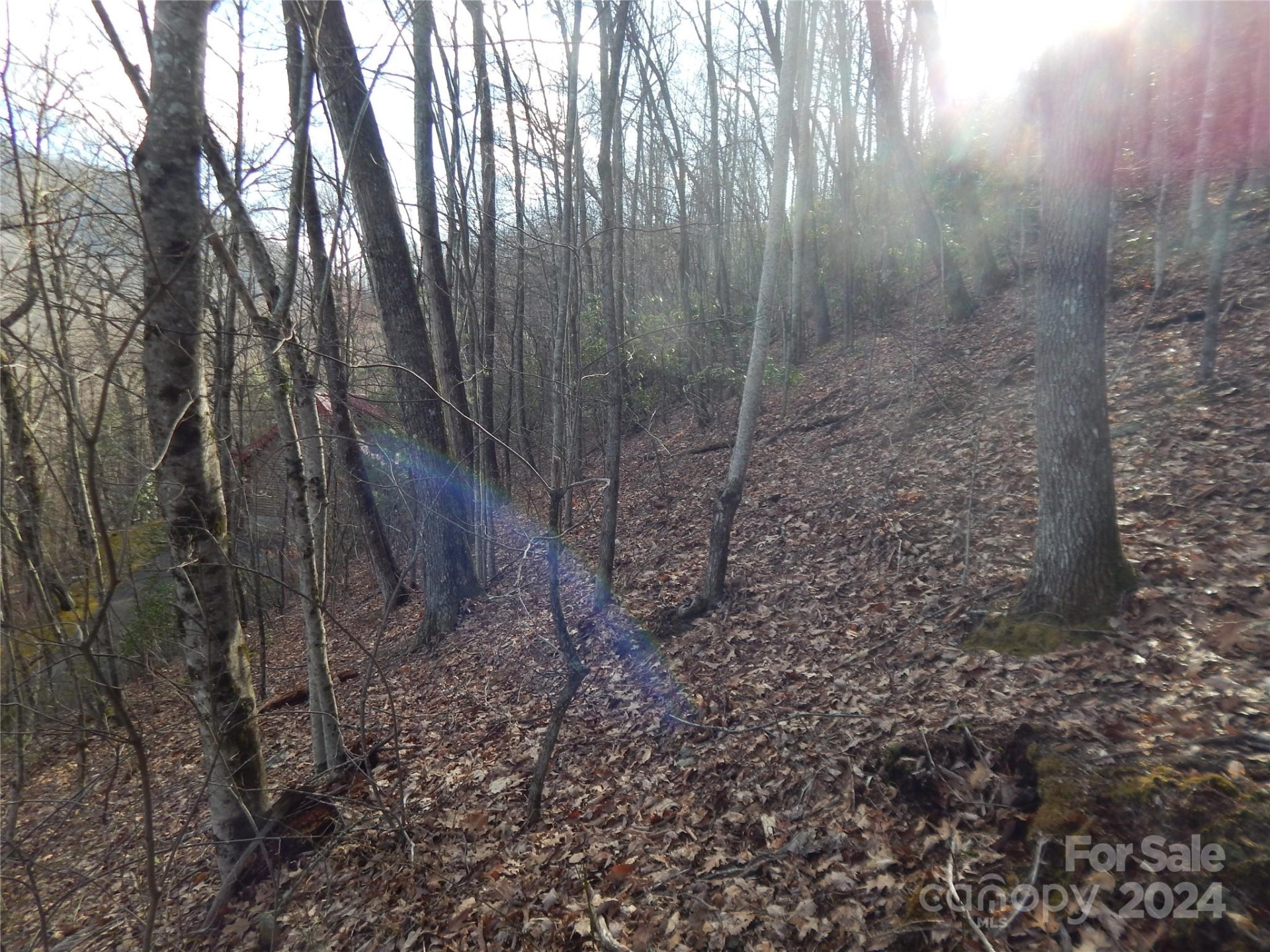 00 Hoot Owl Bill Road - Photo 22