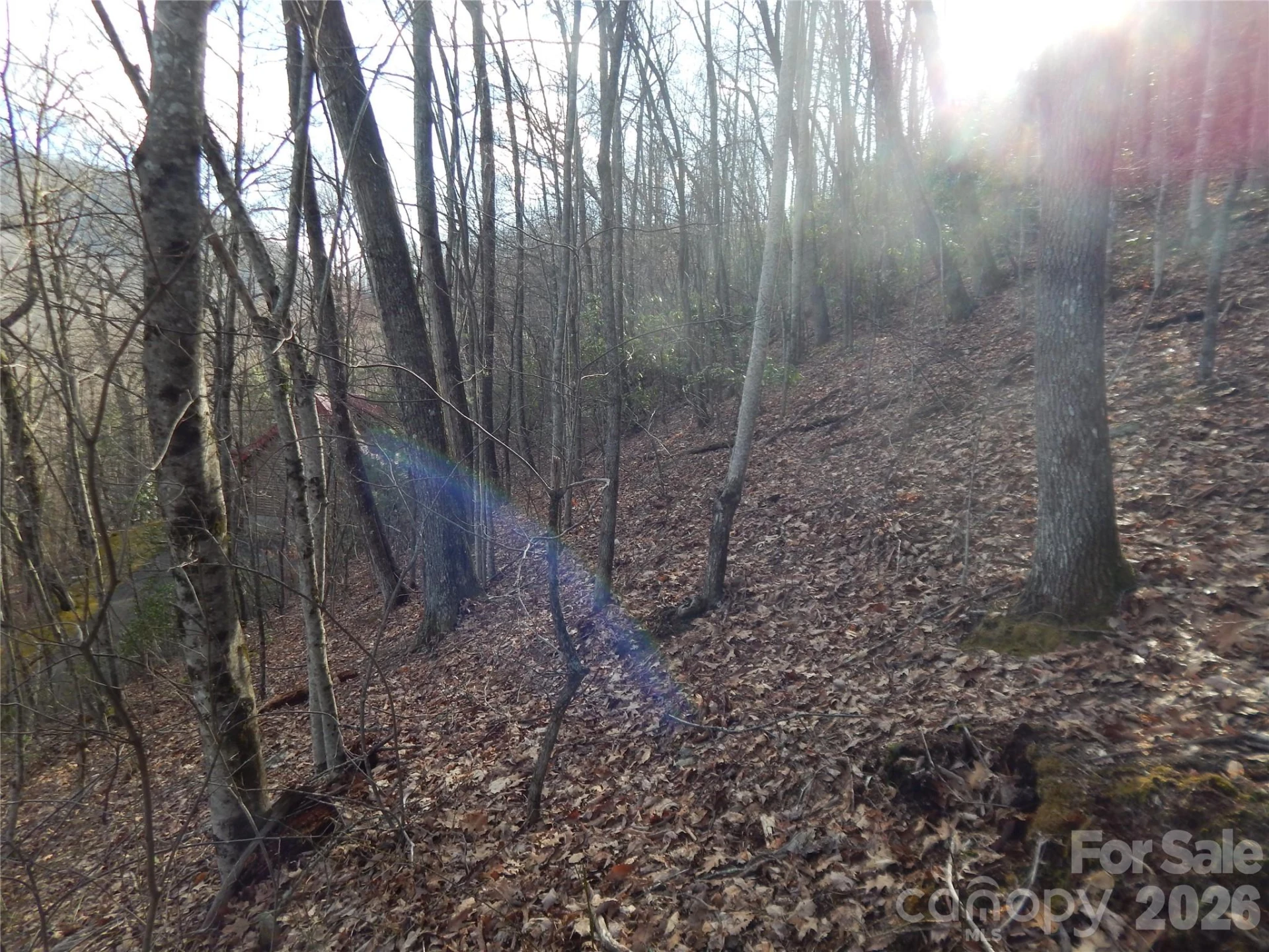 00 Hoot Owl Bill Road - Photo 22